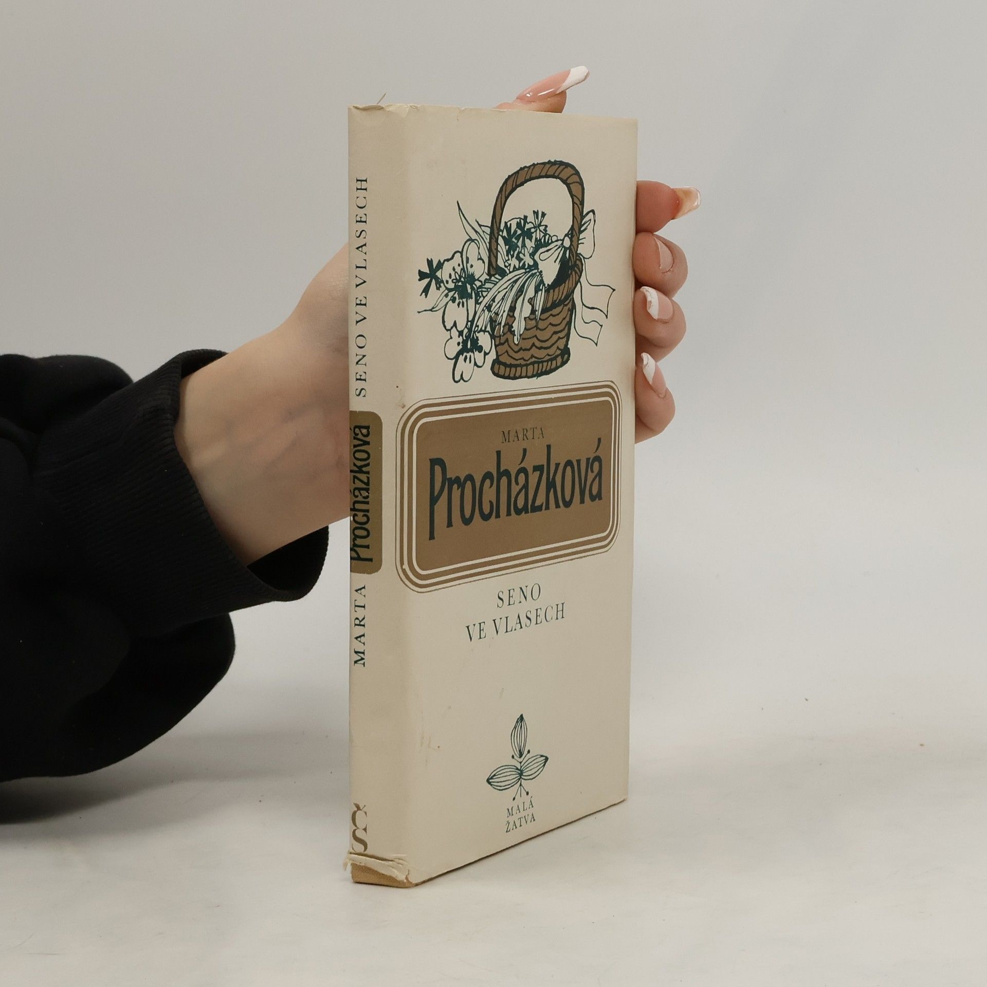 Marta Procházková Seno ve vlasech