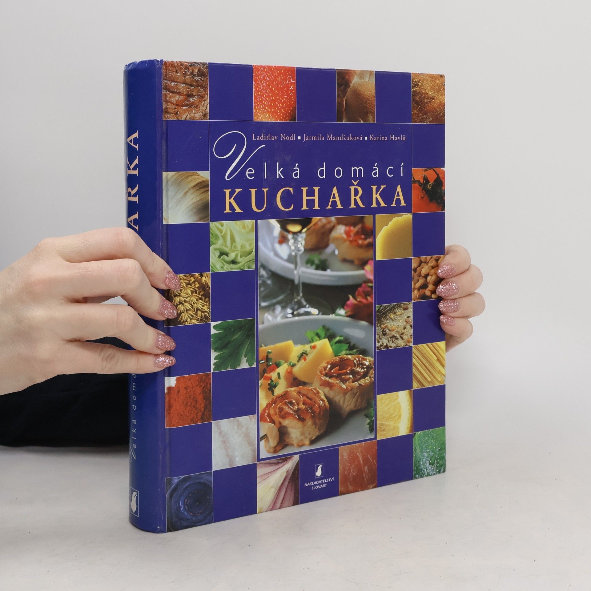 Ladislav Nodl Velká domácí kuchařka