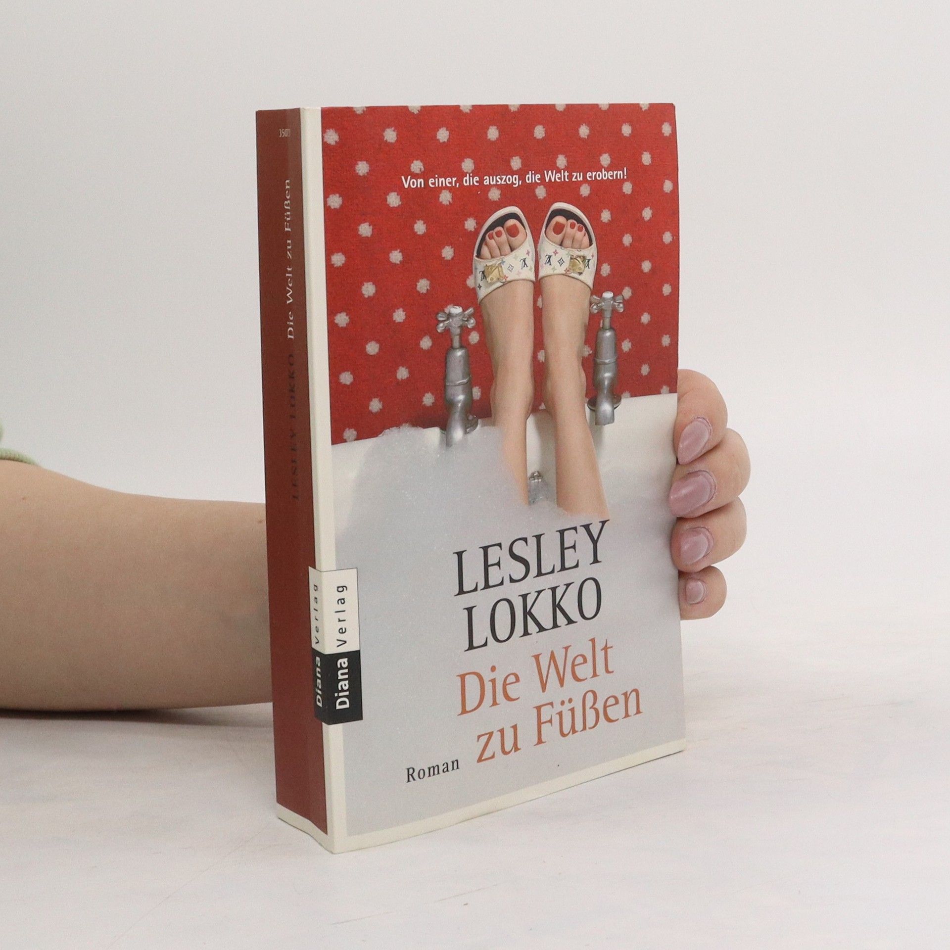 Lesley Lokko Die Welt zu Füßen