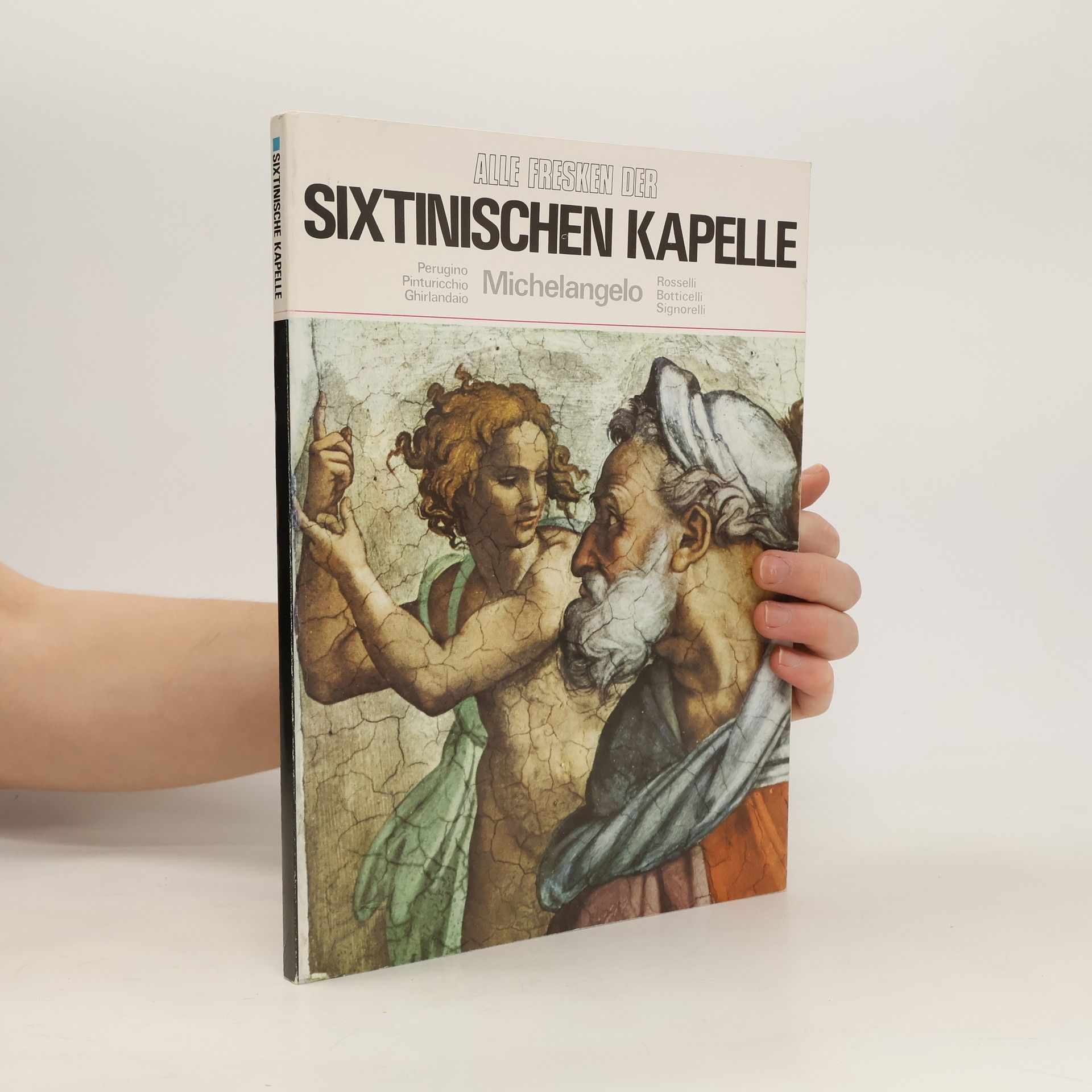 kolektiv Alle Fresken der Sixtinischen Kapelle. Michelangelo
