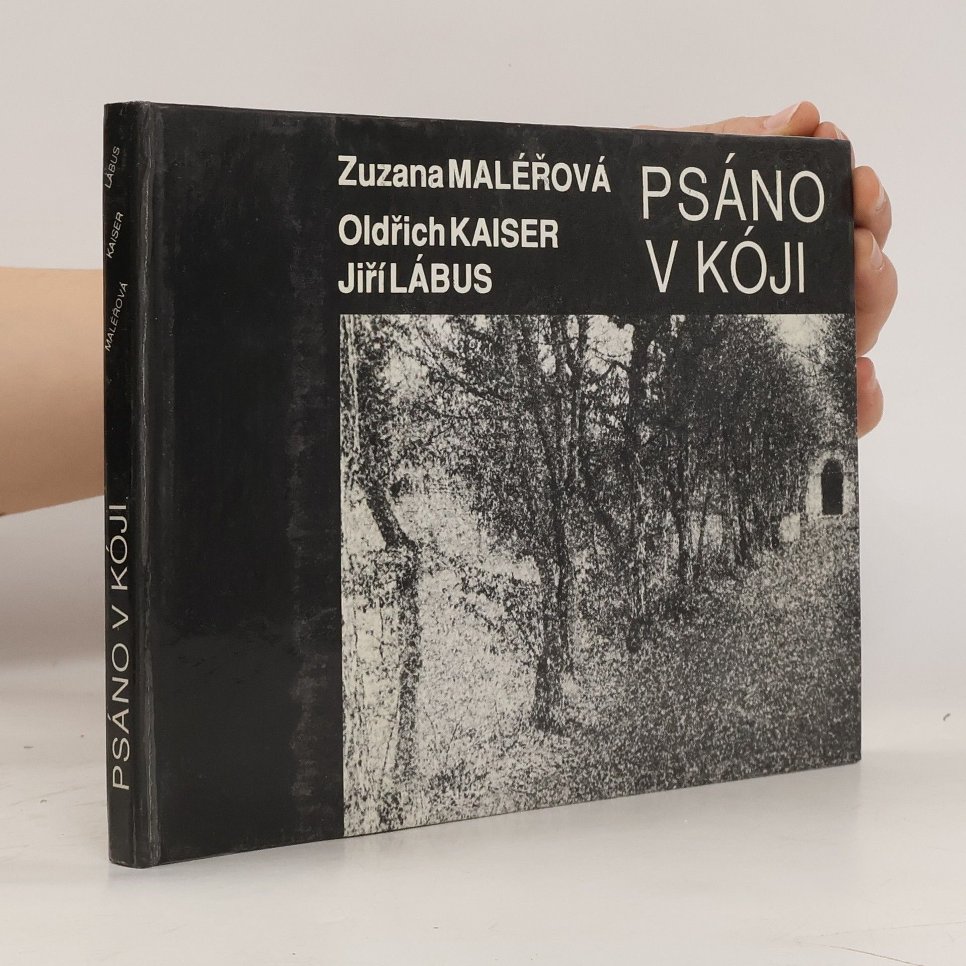 Maléřová Zuzana Psáno v kóji