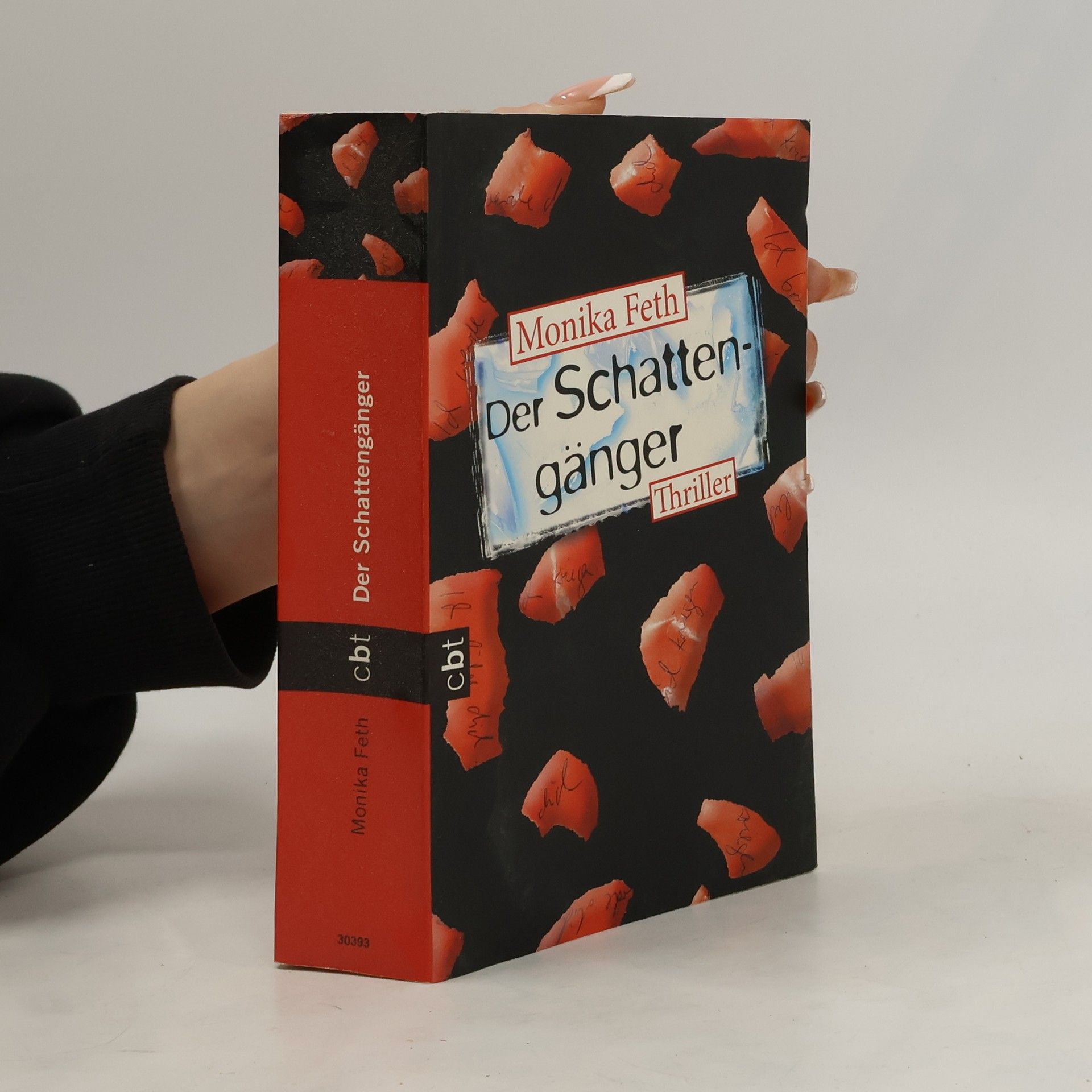 Monika Feth Der Schattengänger