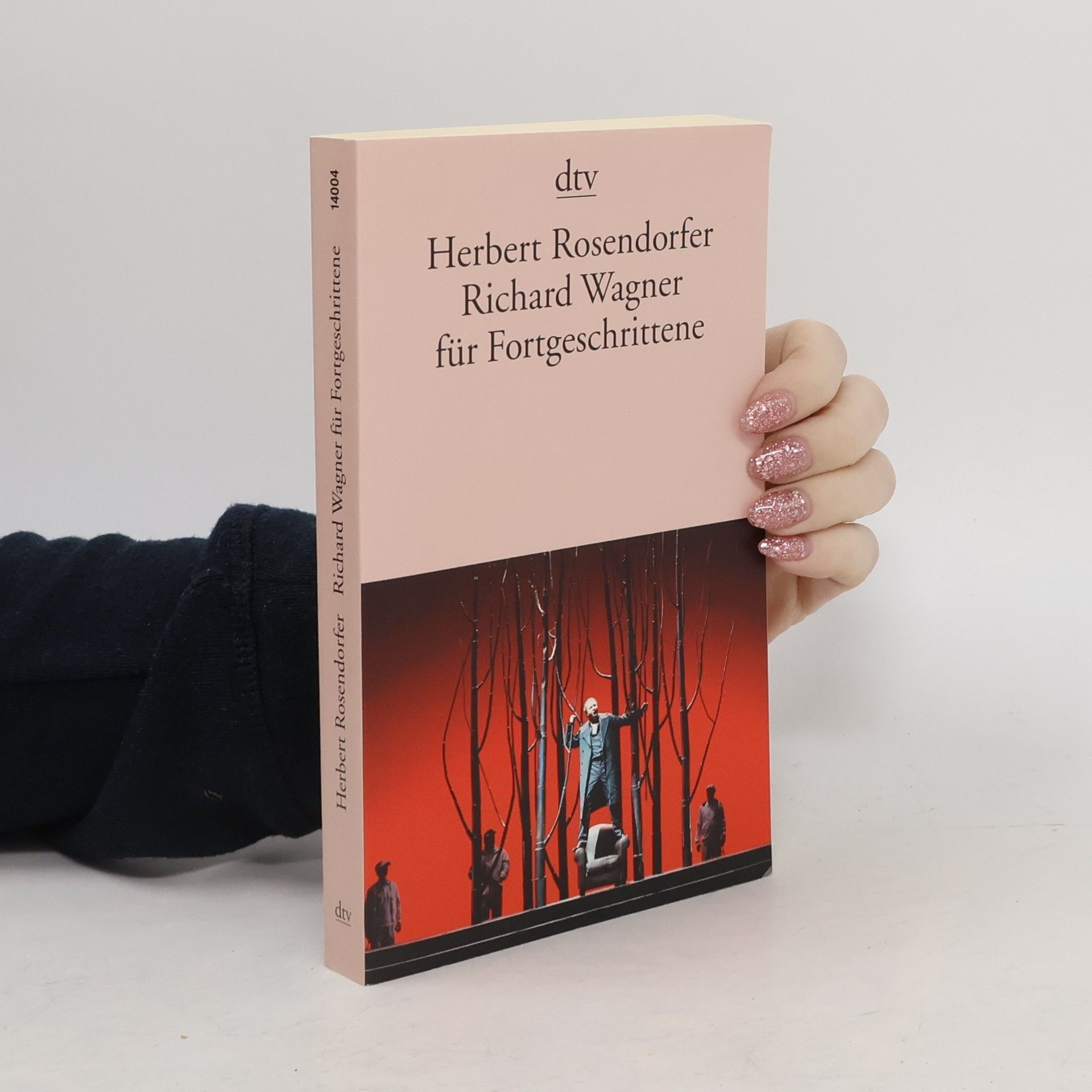 Herbert Rosendorfer Richard Wagner für Fortgeschrittene