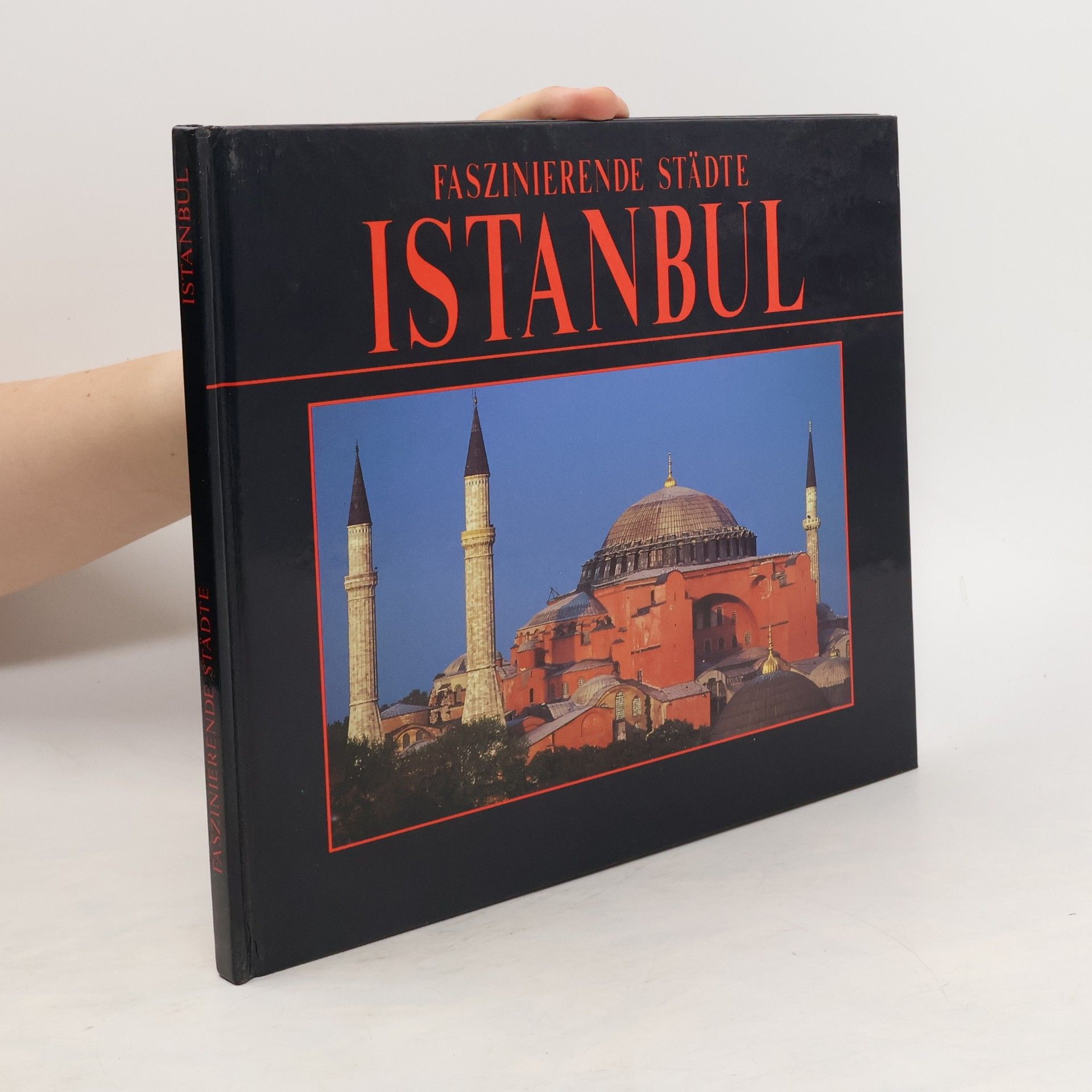 Giulio Veggi Istanbul