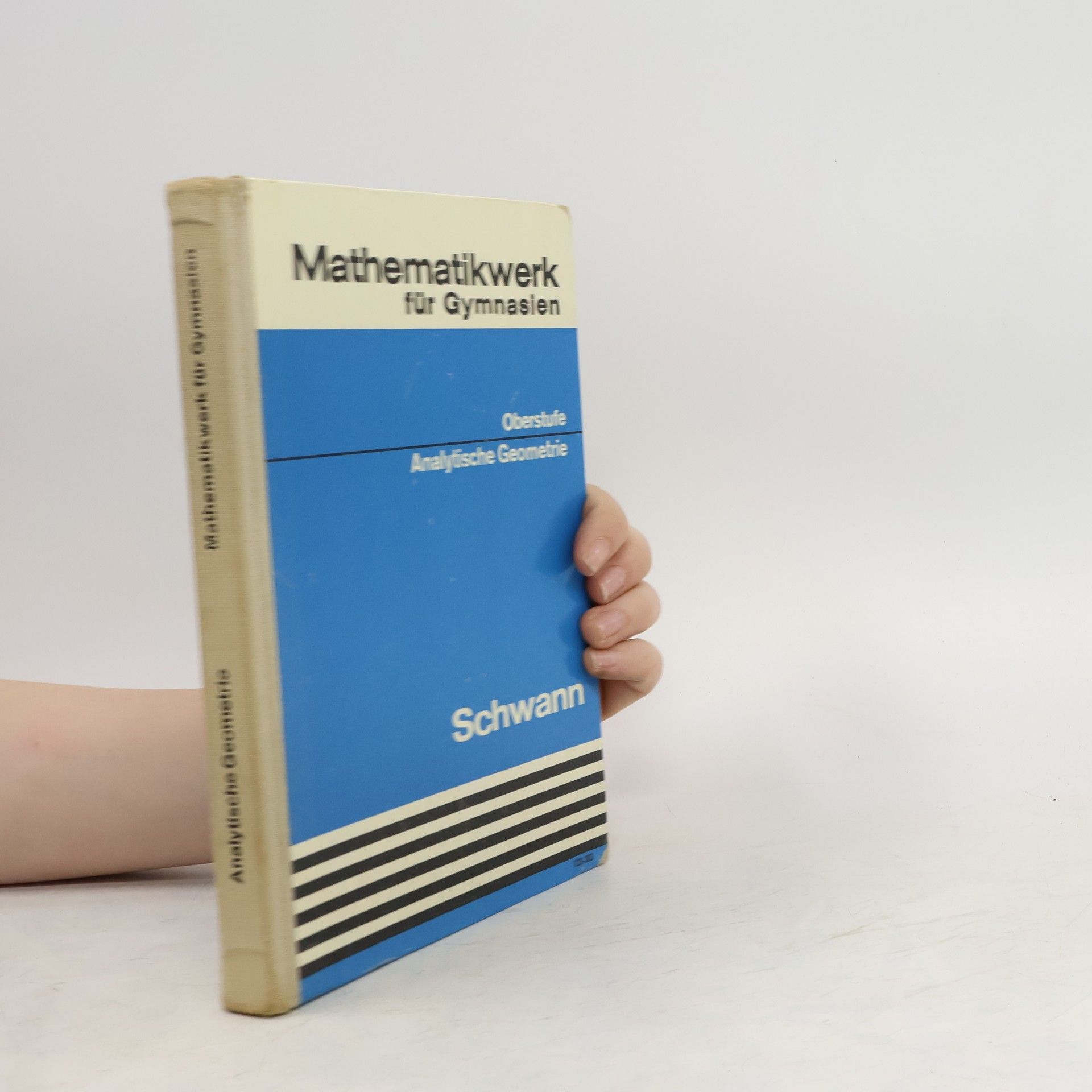 Autorenkollektiv Mathematikwerk für Gymnasien