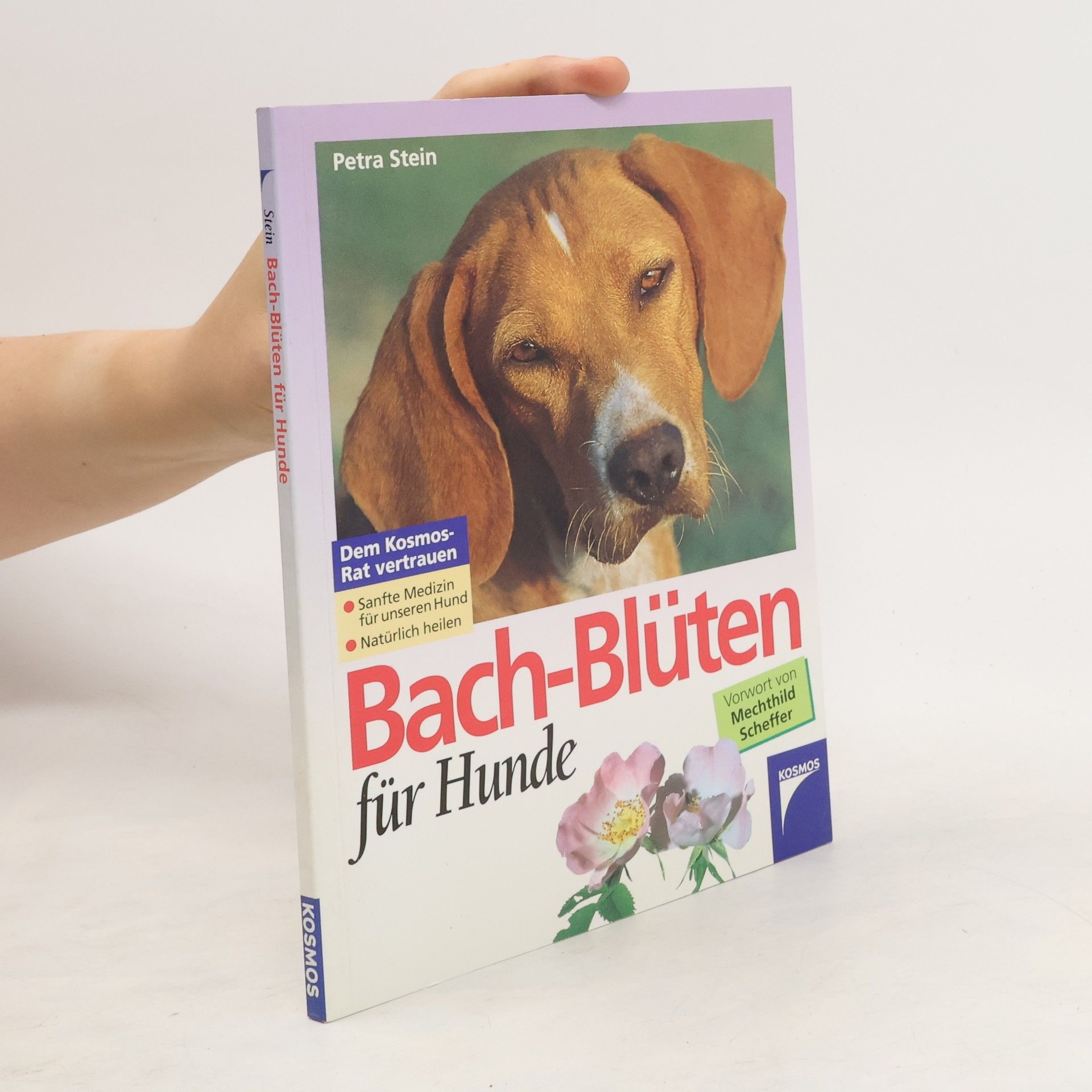 Petra Stein Bach-Blüten für Hunde