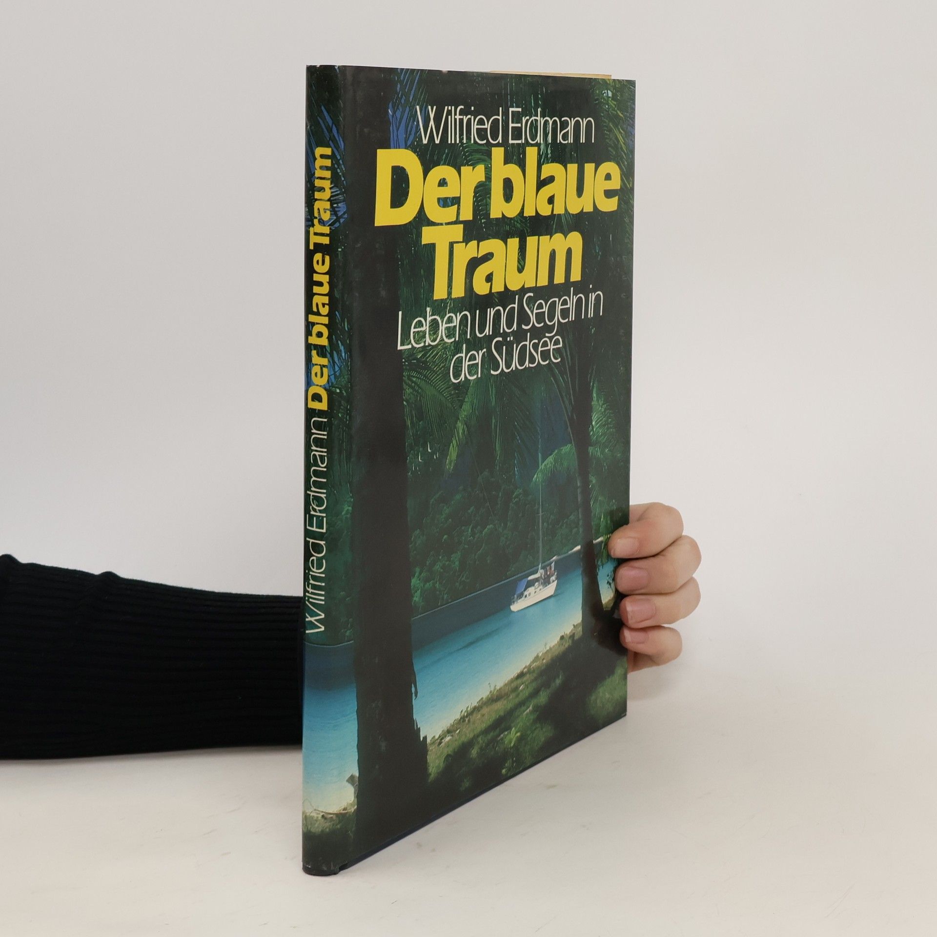 Wilfried Erdmann Der blaue Traum