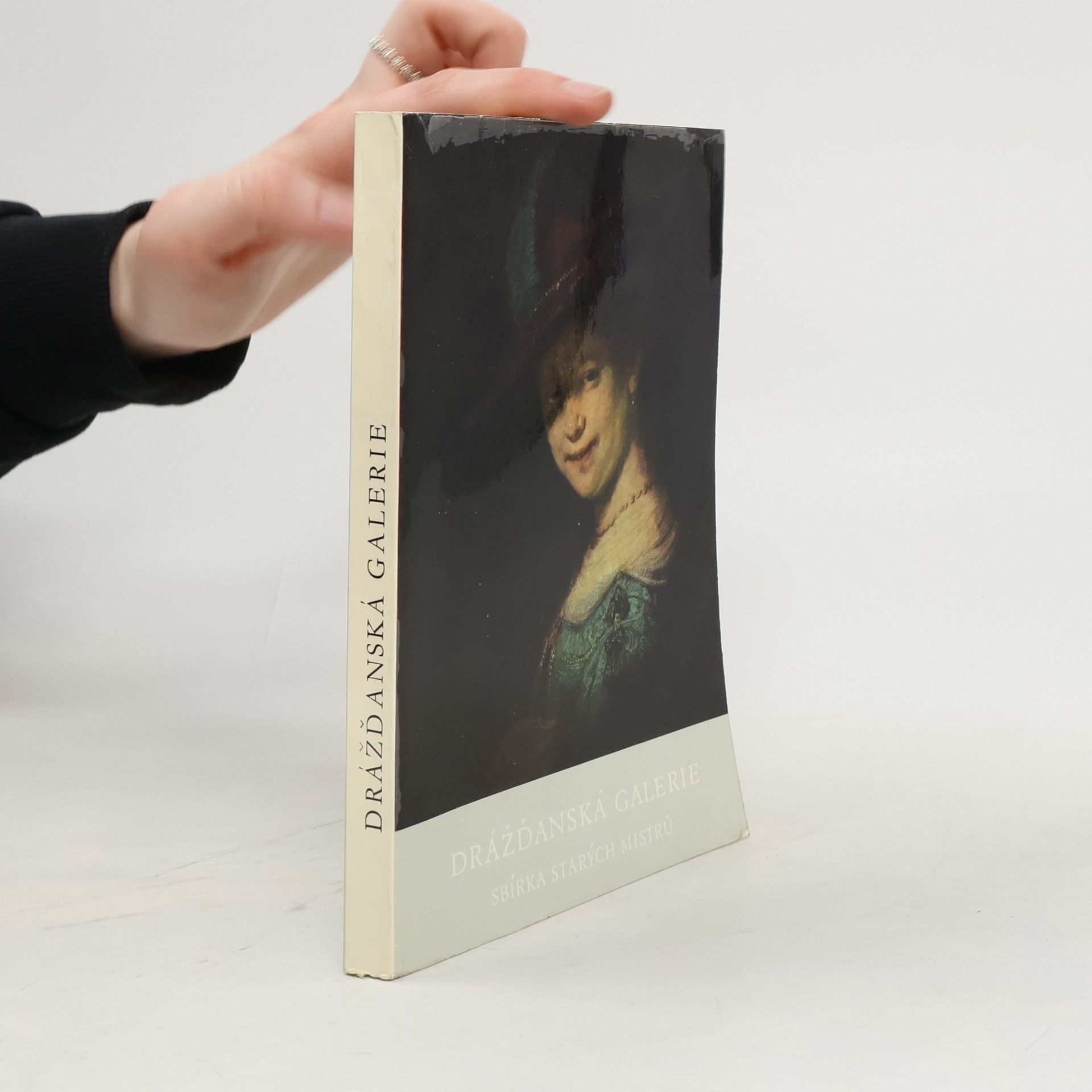 Autorenkollektiv Drážďanská galerie