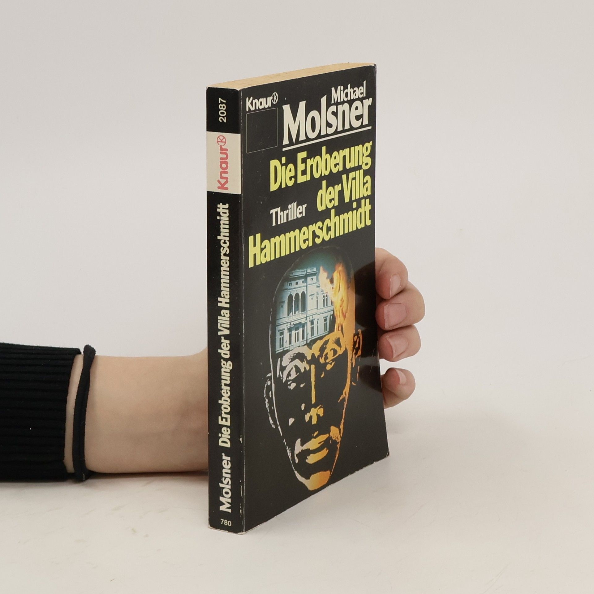 Michael Molsner Die Eroberung der Villa Hammerschmidt. Thriller