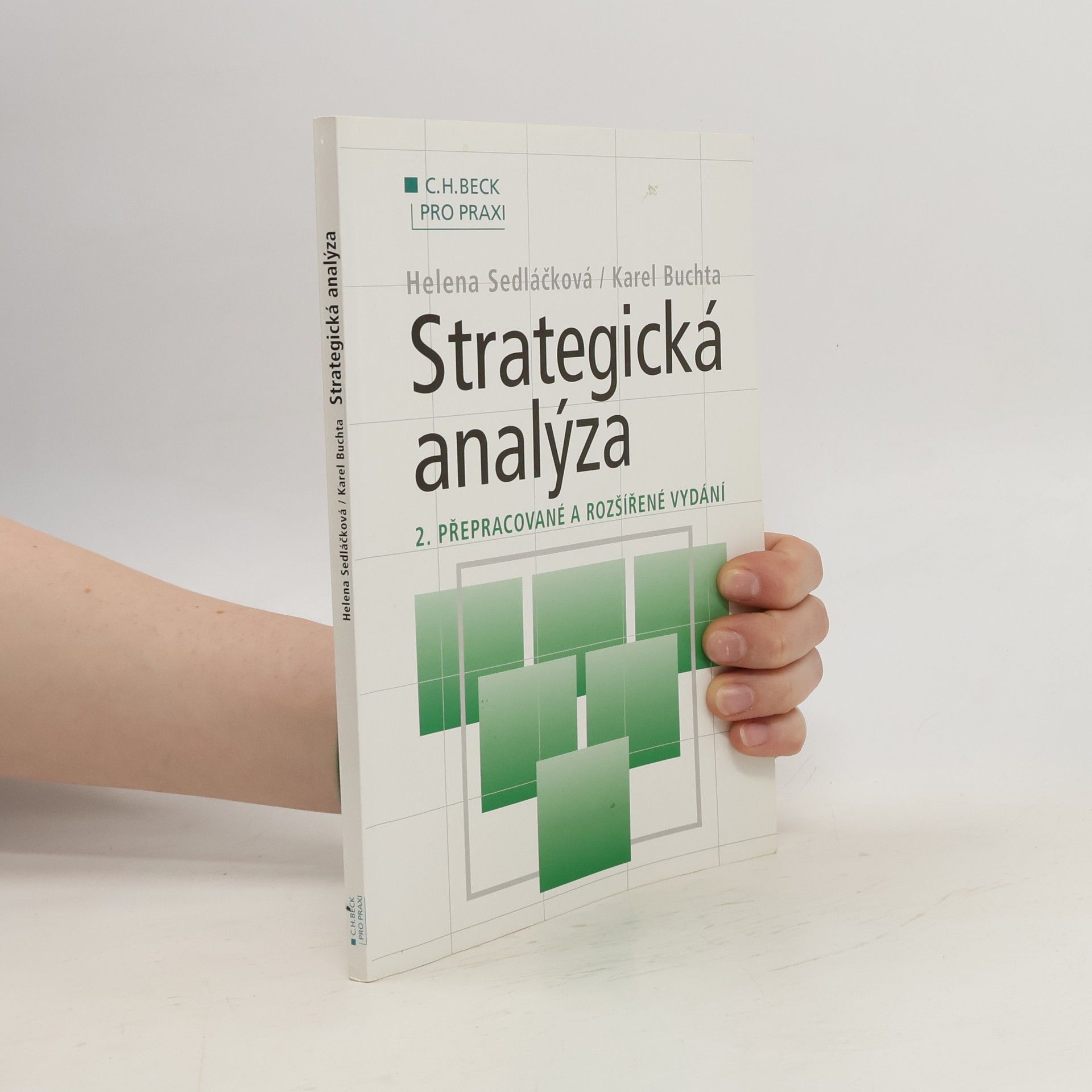 Helena Sedláčková Strategická analýza