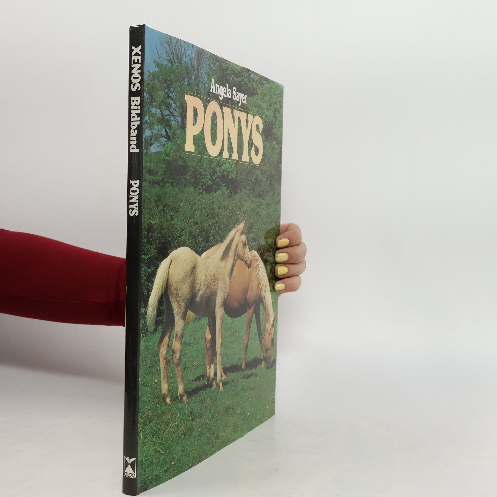 Angela Rixon Ponys