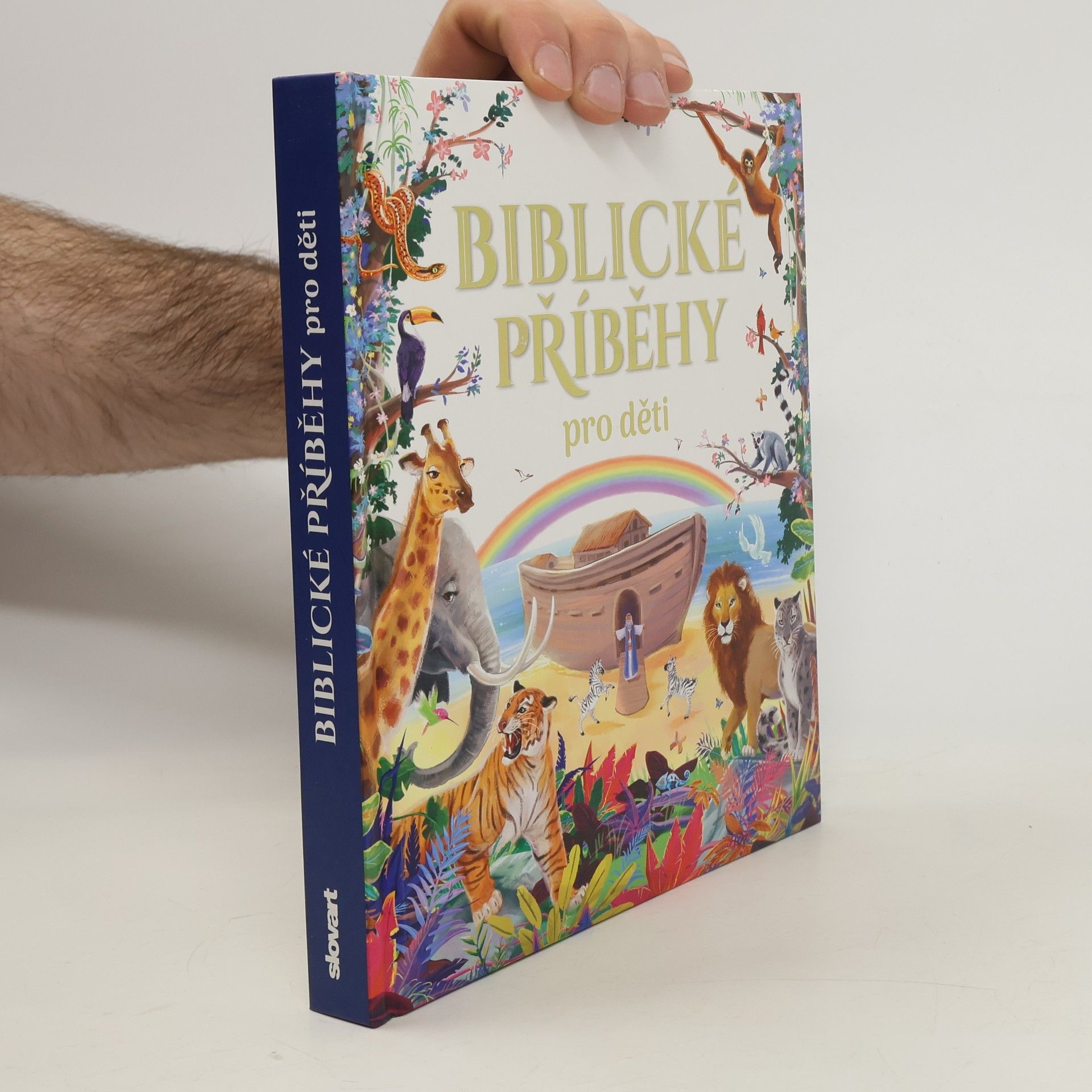 Barbora Viková Biblické příběhy pro děti