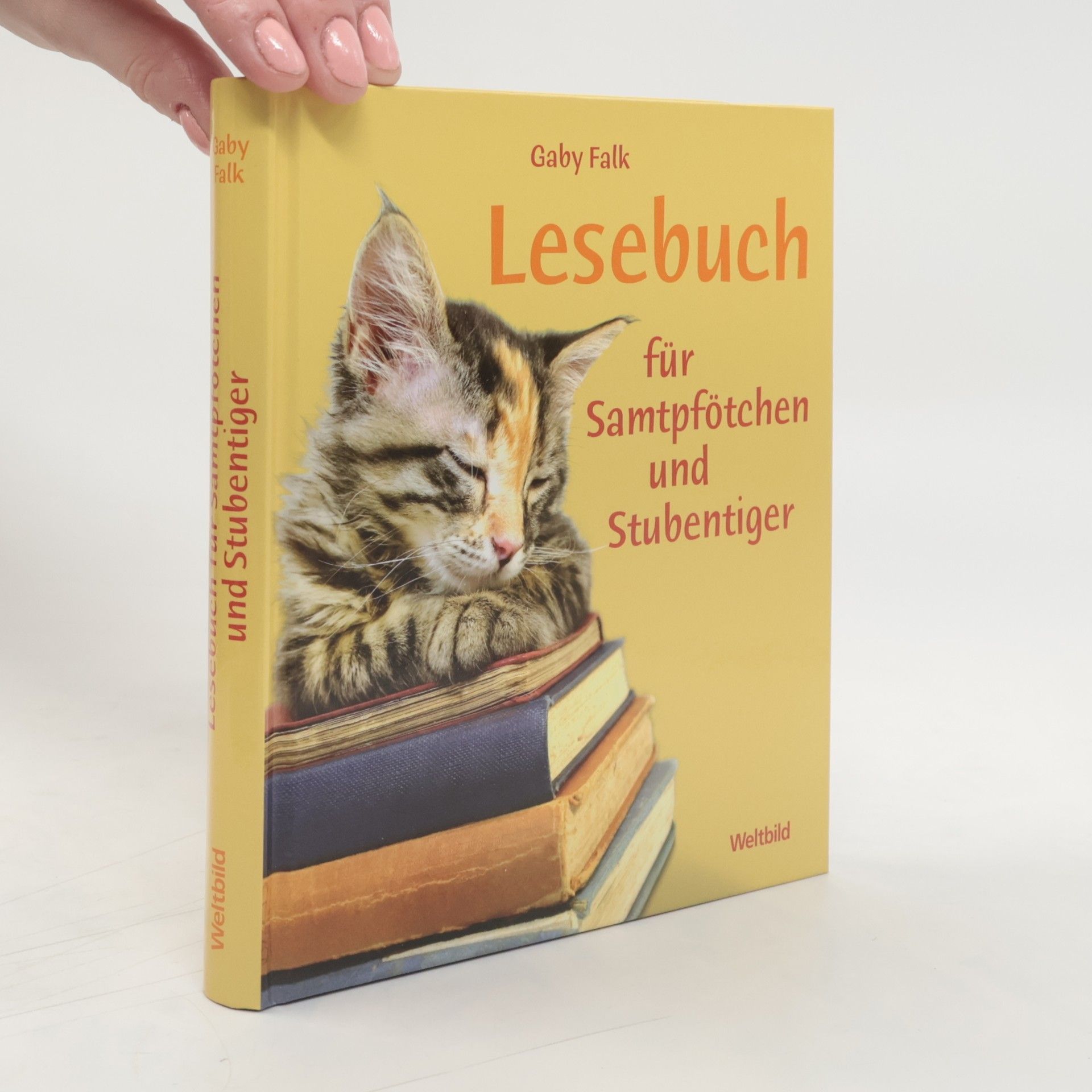 Gaby Falk Lesebuch für Samtpfötchen und Stubentiger