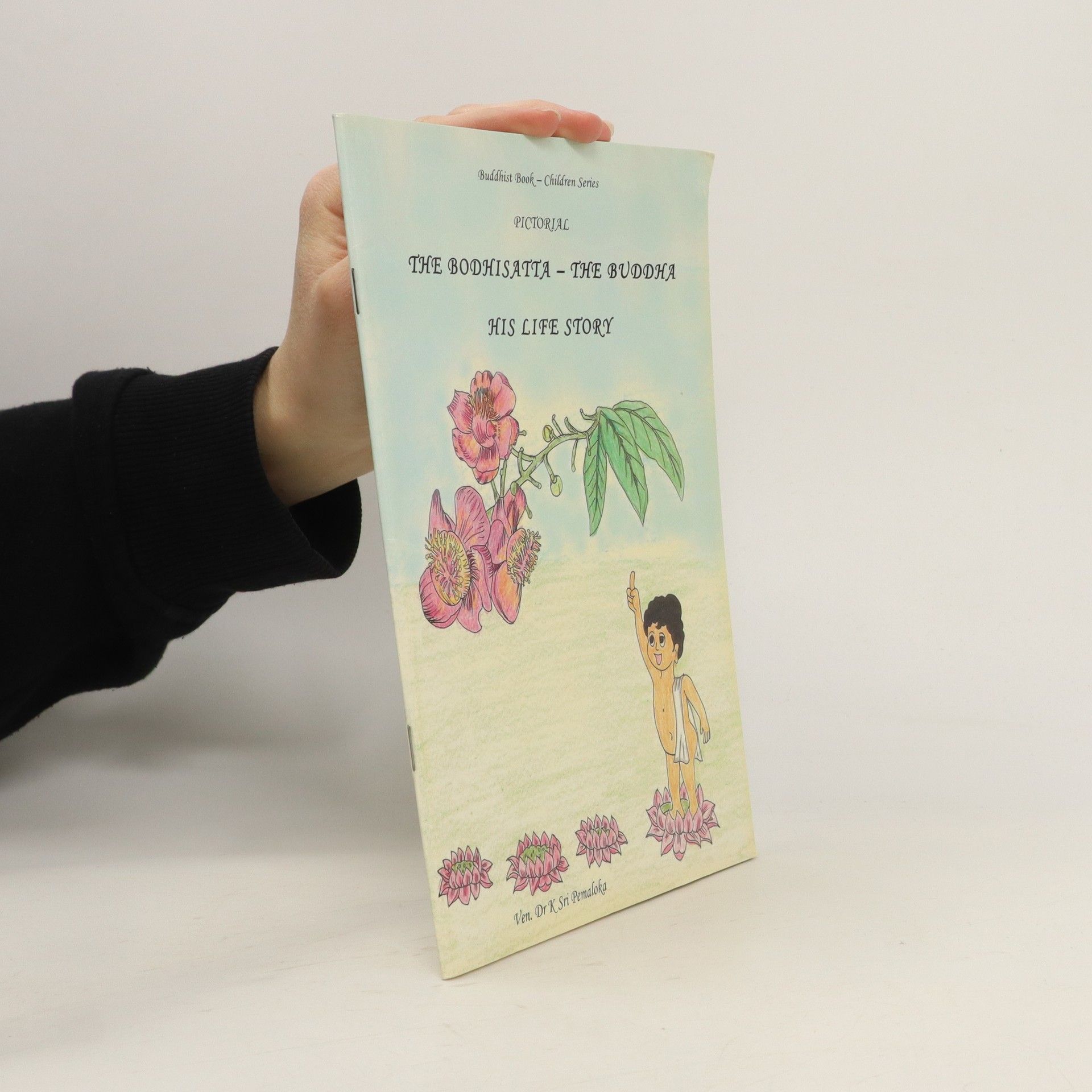 Kolektiv autorů The Bodhisatta - The Buddha