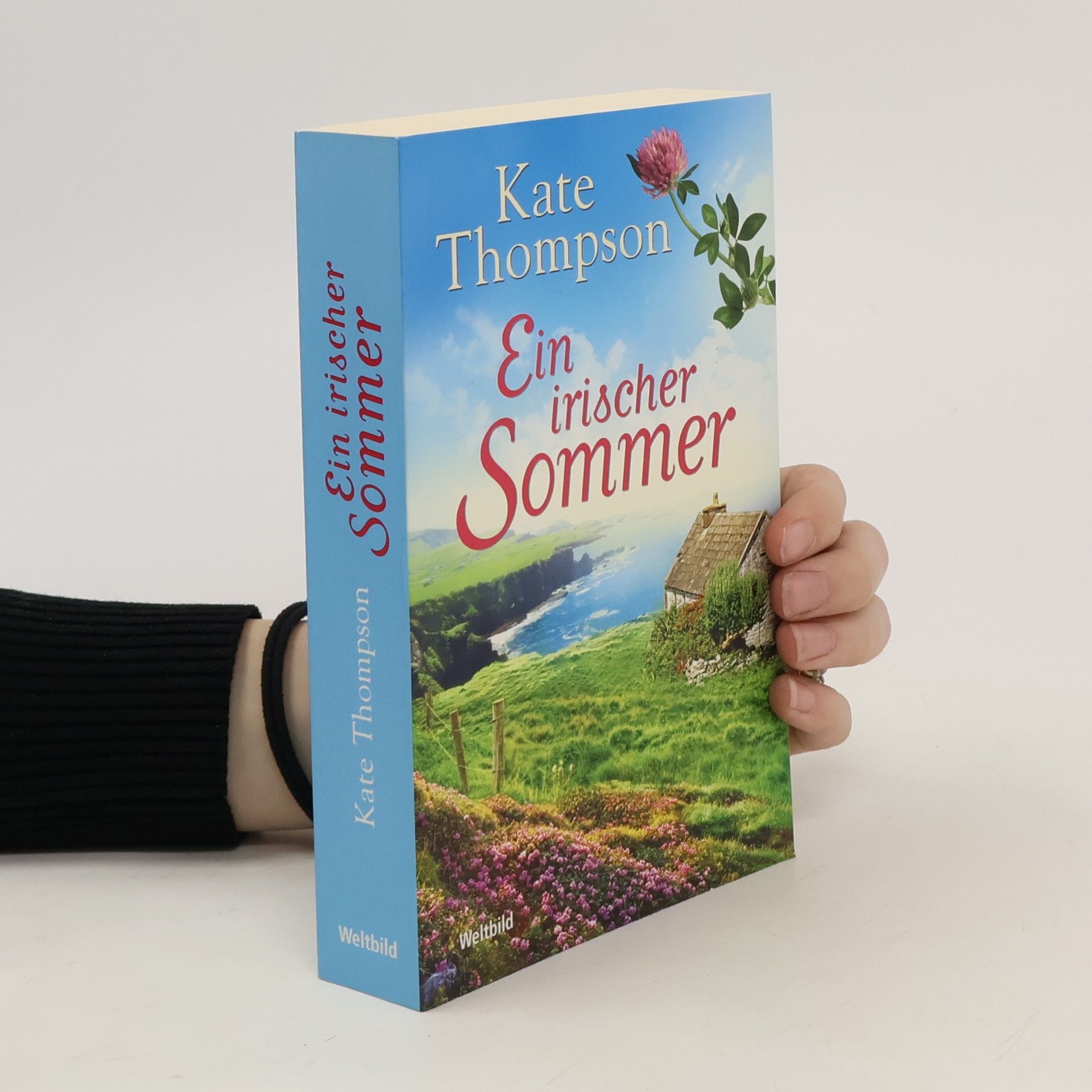 Kate Thompson Ein irischer Sommer