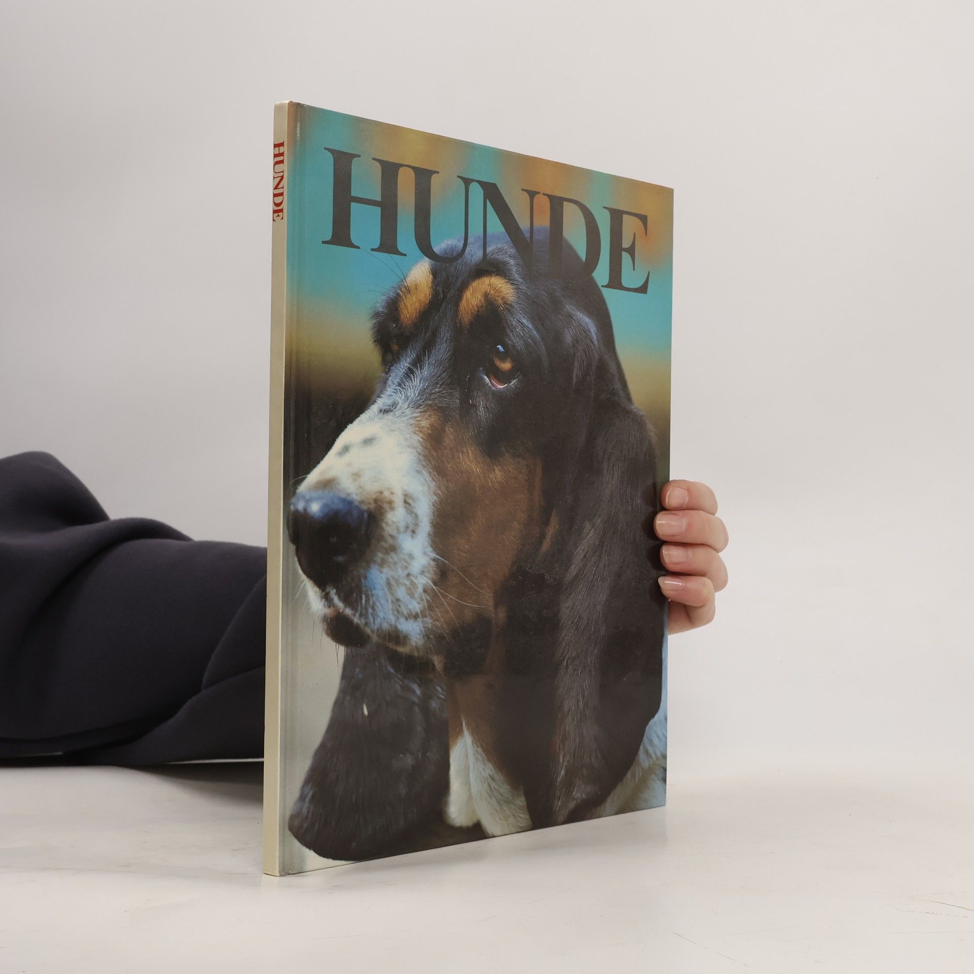 Autorenkollektiv Hunde