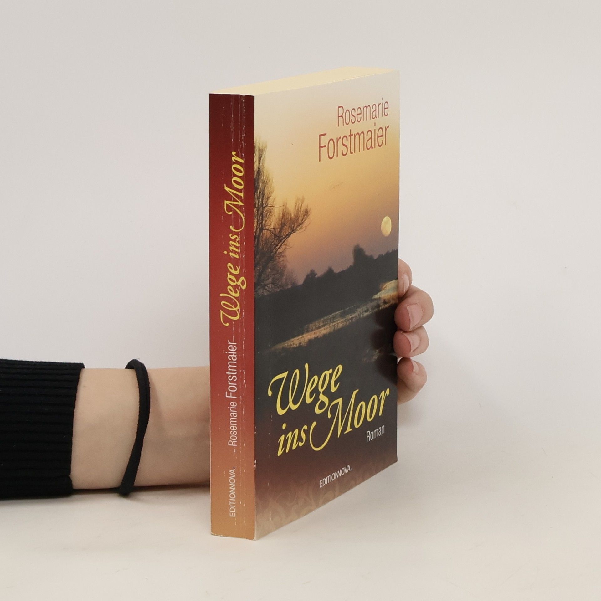 Rosemarie Forstmaier Wege ins Moor