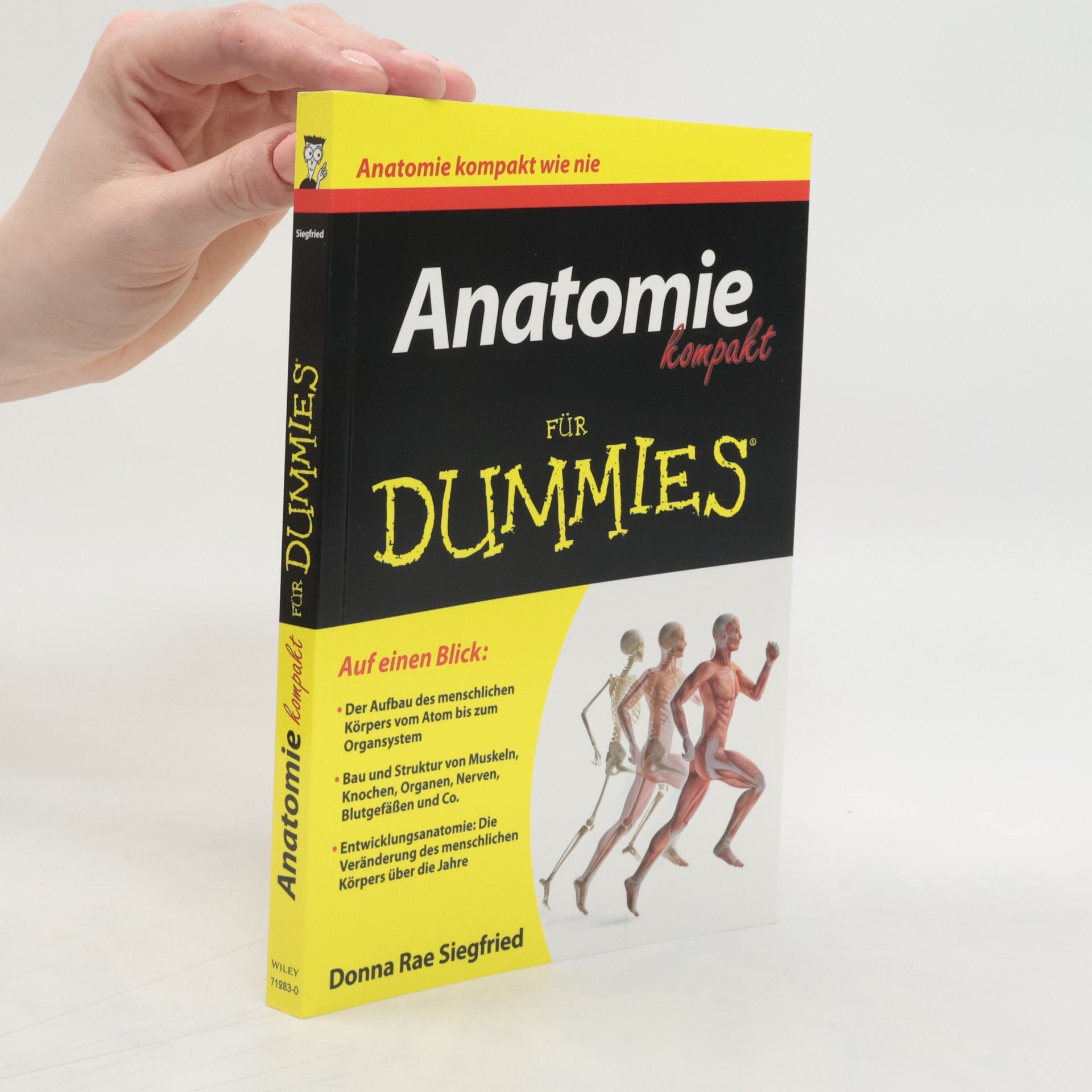 Donna Rae Siegfried Anatomie kompakt für Dummies