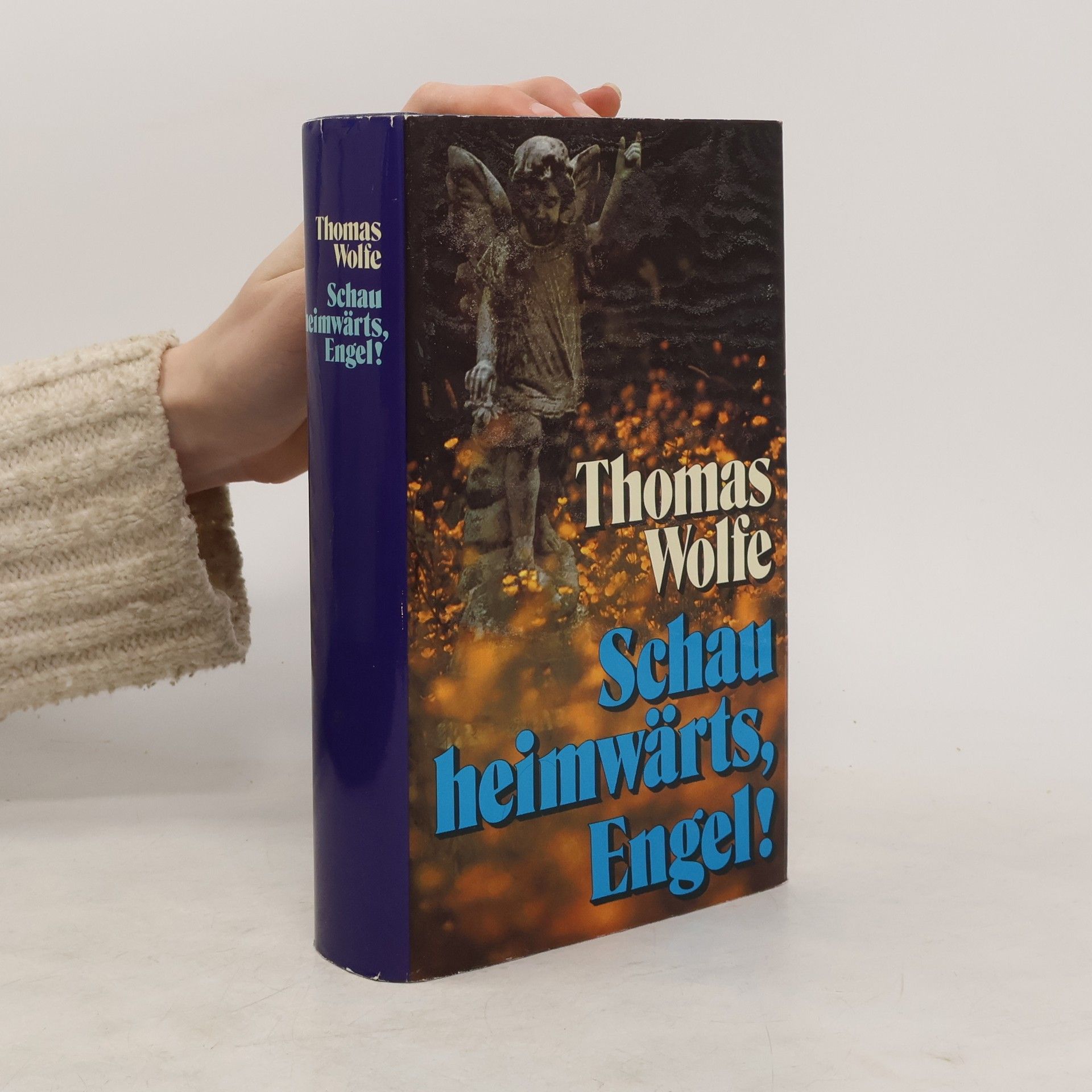 Wolfe Thomas Schau Heimwärts, Engel!