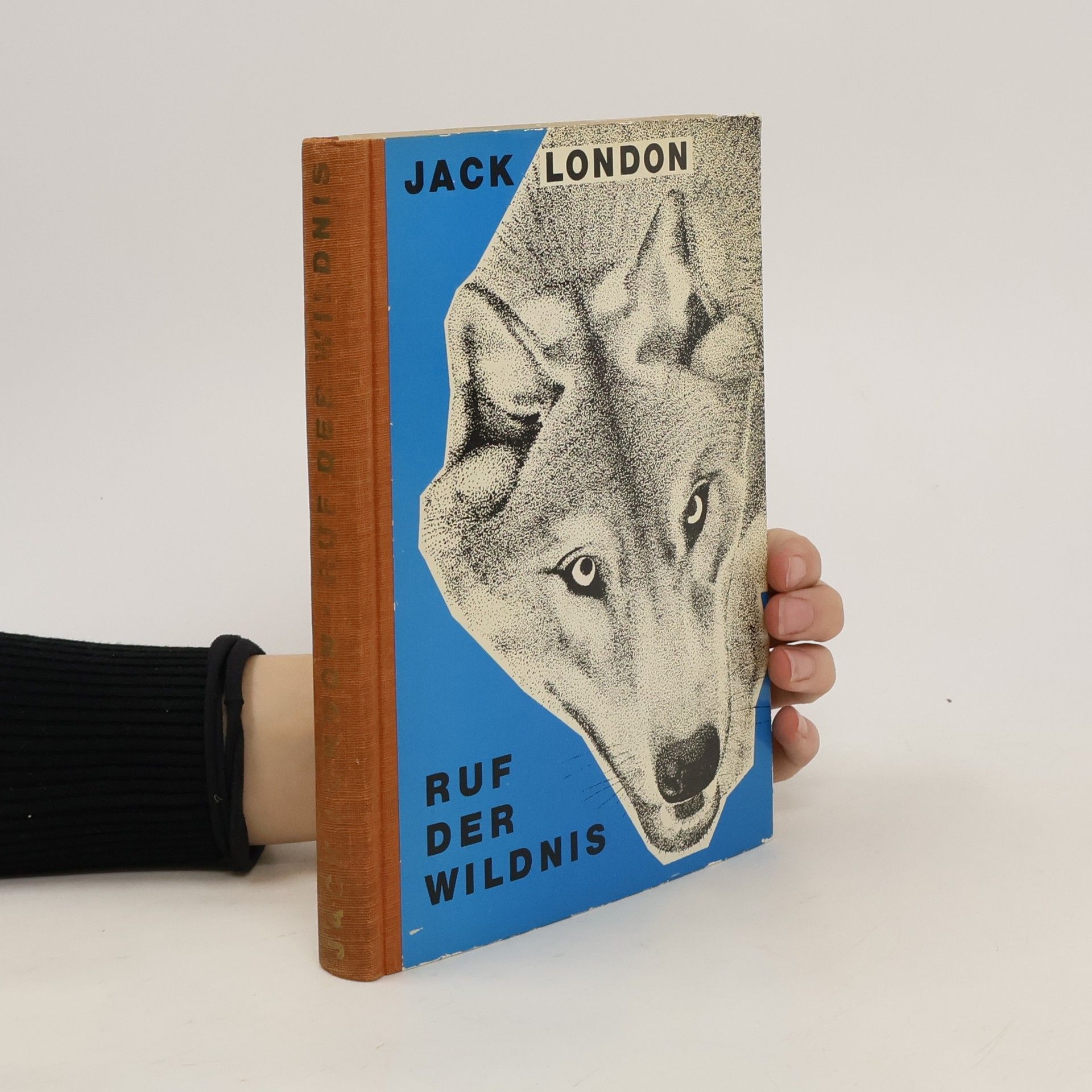 Jack London Ruf der Wildnis