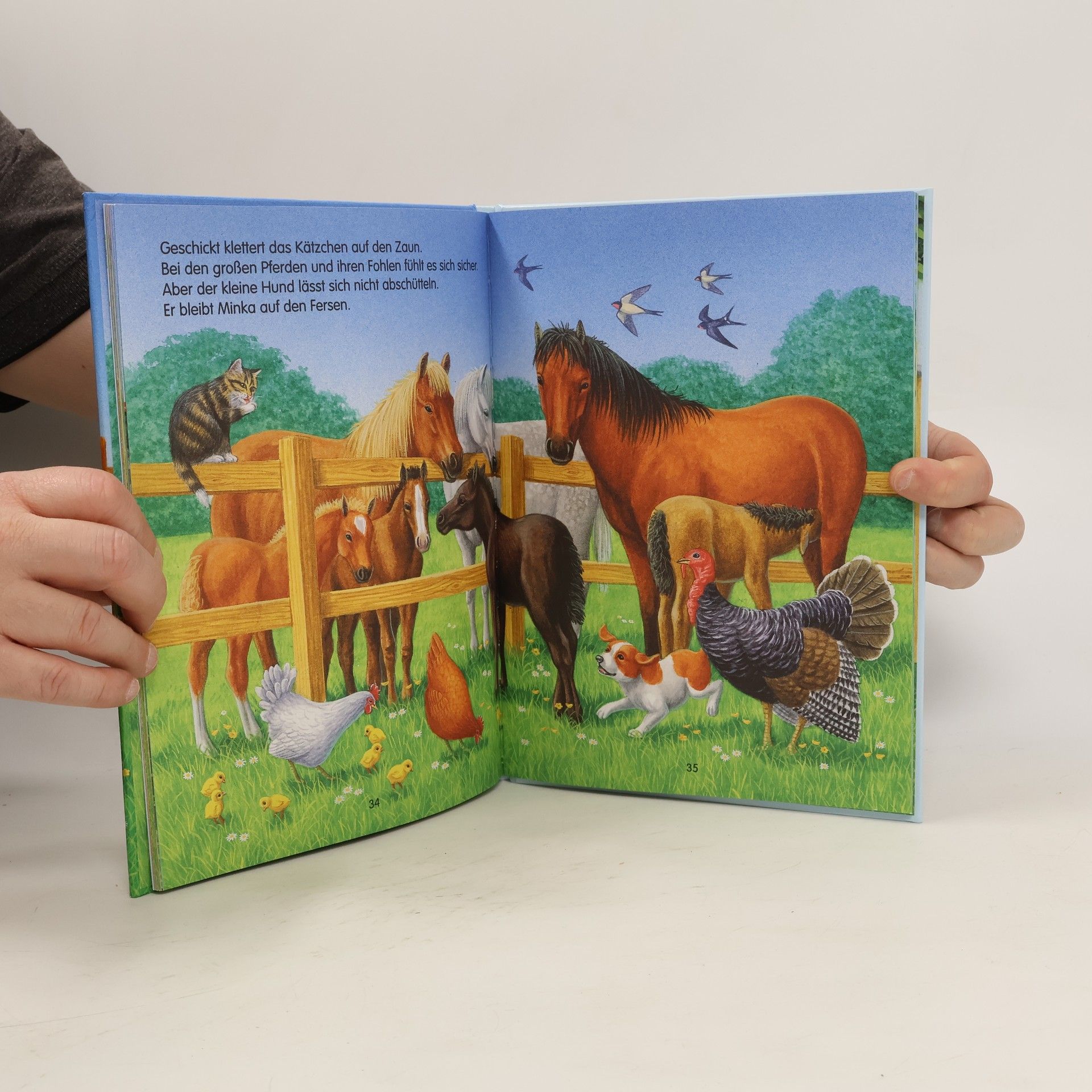 Autorenkollektiv Die schönsten Bauernhof -Geschichten