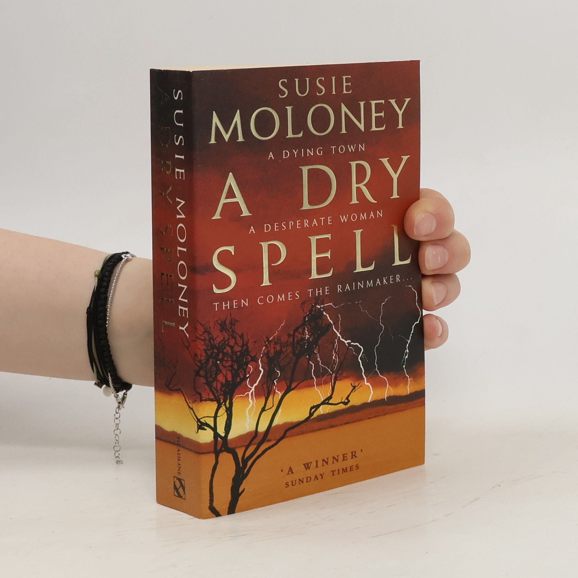 Susie Moloney A Dry Spell