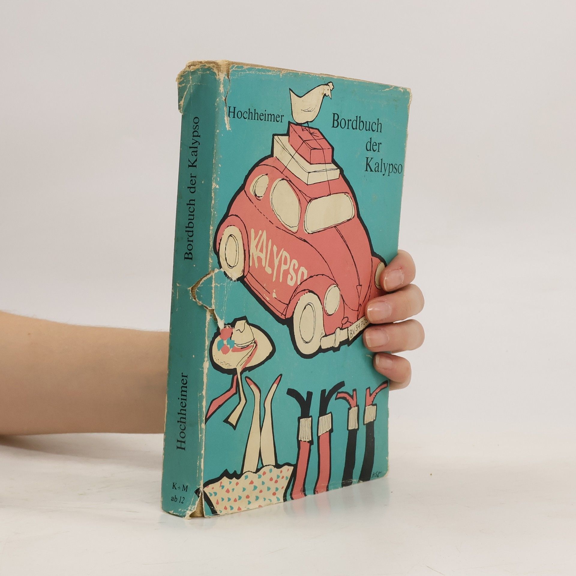 Albert Hochheimer Bordbuch der Kalypso