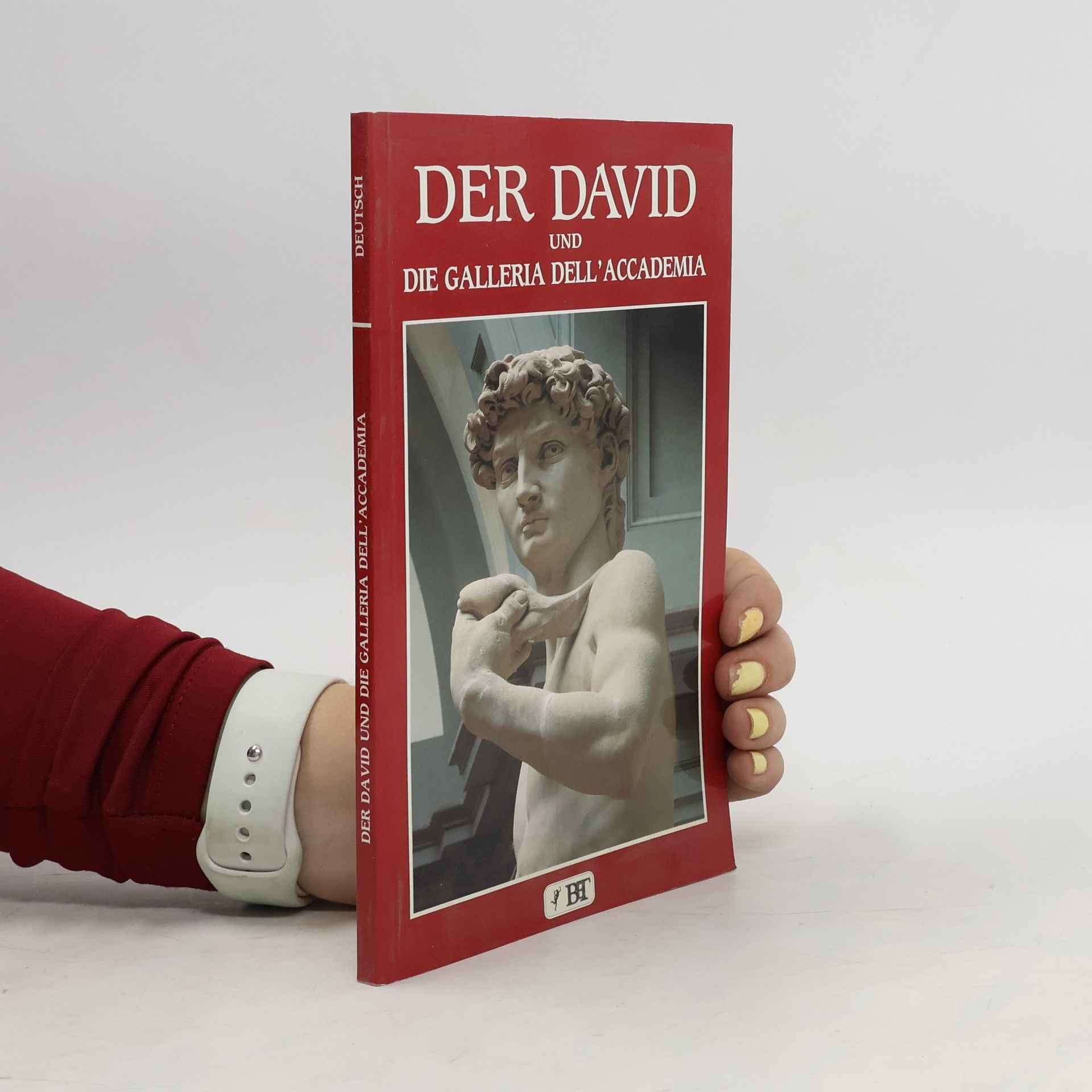 Franca Falletti Der David und die Galleria dell'Accademia