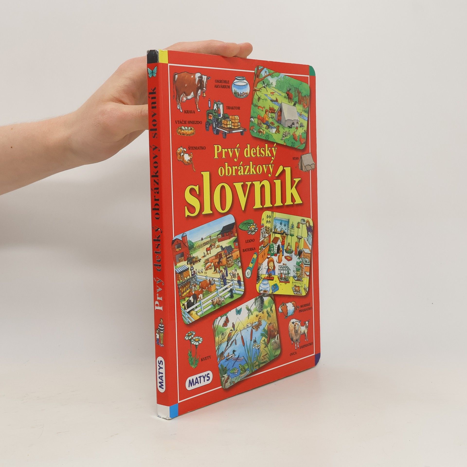 kolektiv Prvý detský obrázkový slovník