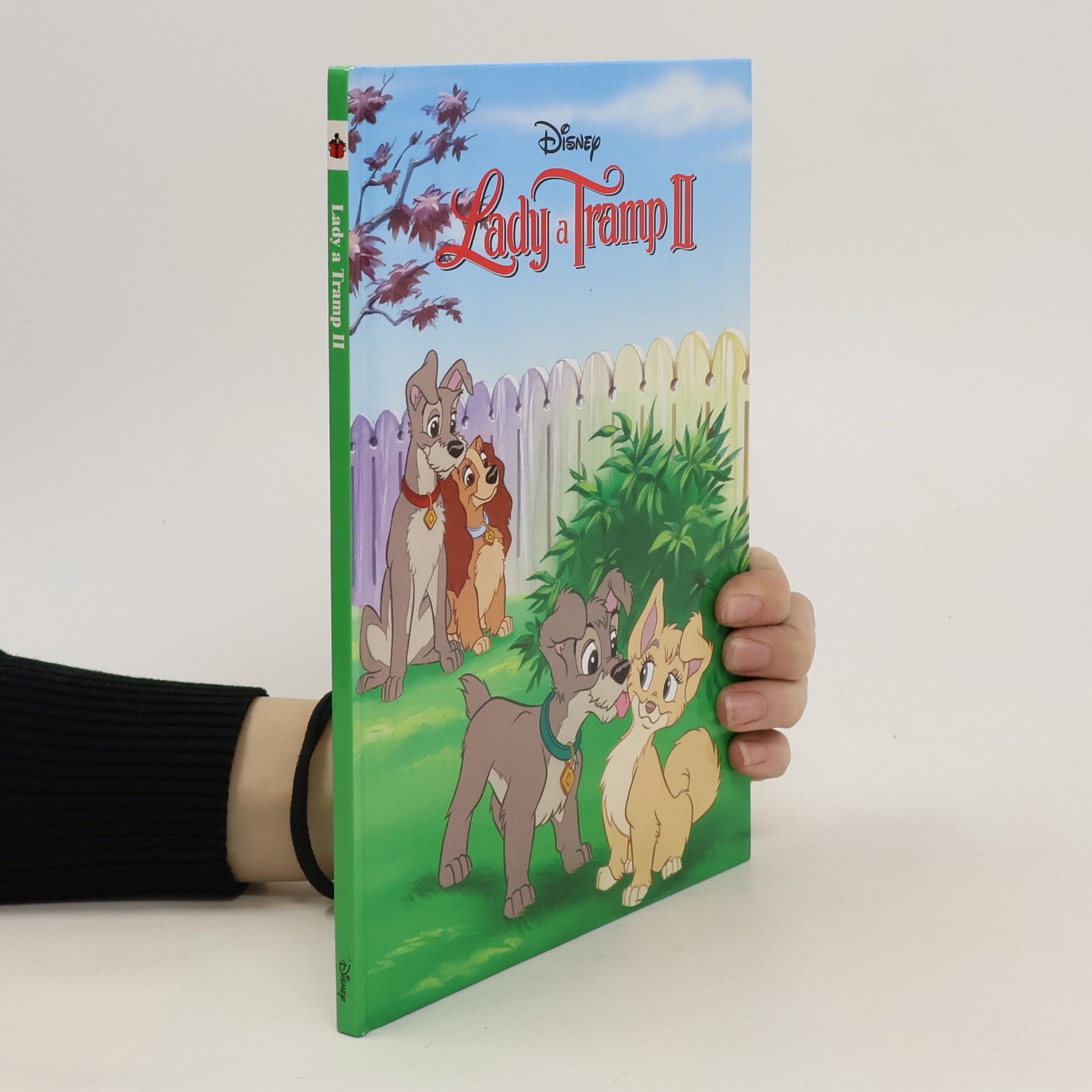 Collectif d'auteurs Lady a Tramp II