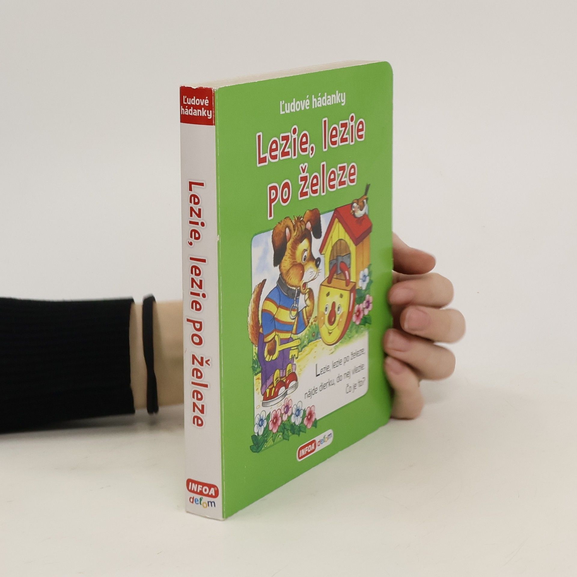 Collectif d'auteurs Lezie, lezie po železe