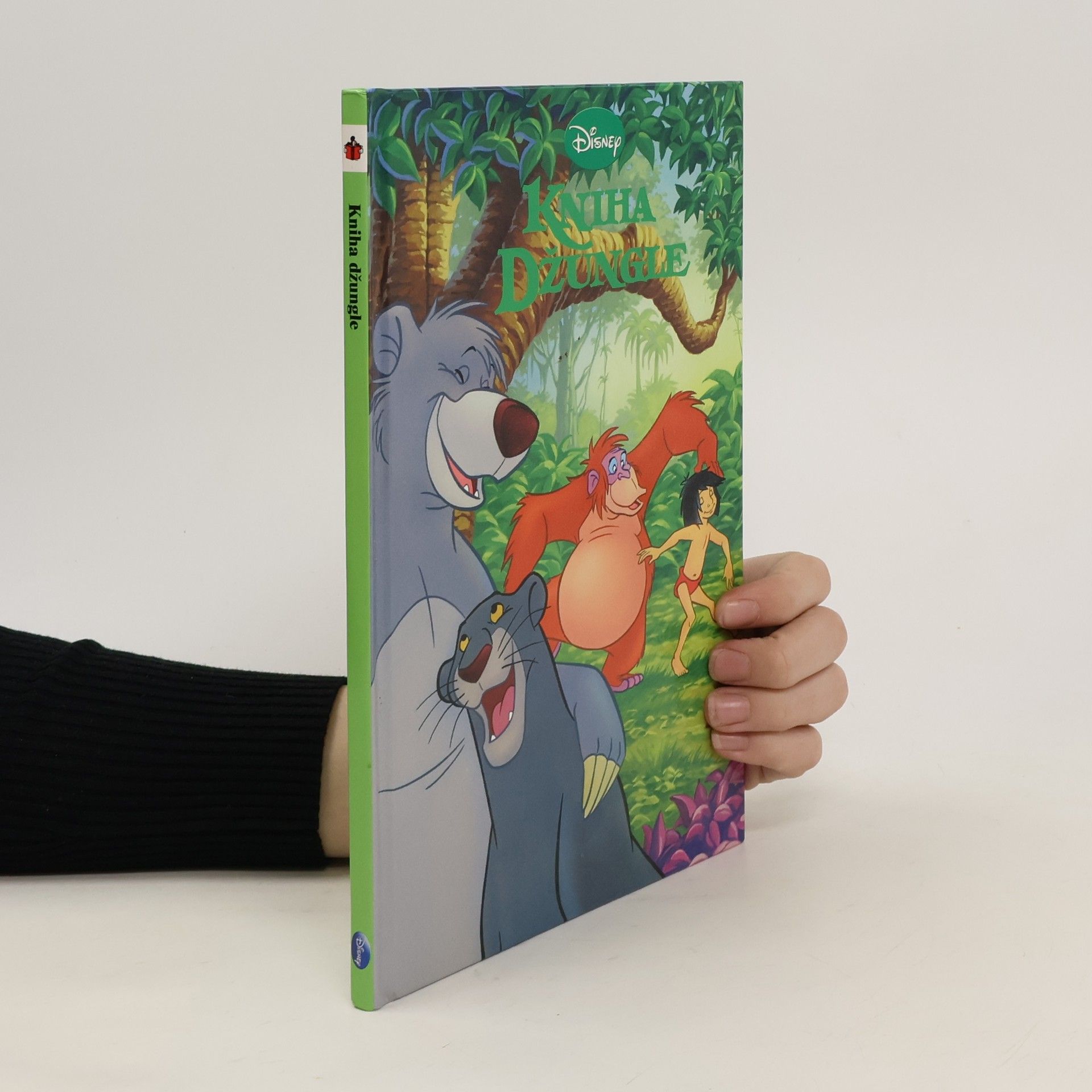 Collectif d'auteurs Kniha Džungle