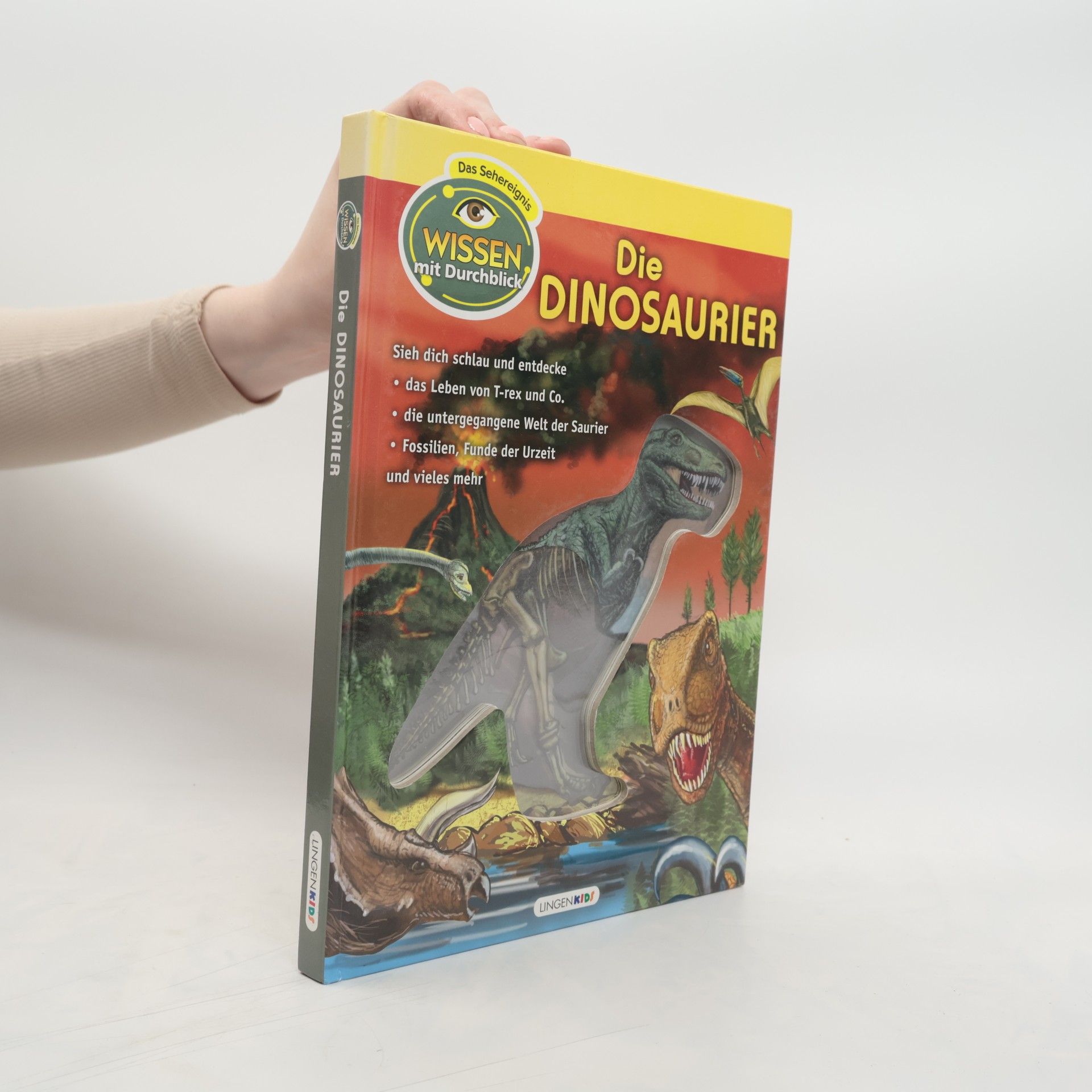 kolektiv Die Dinosaurier