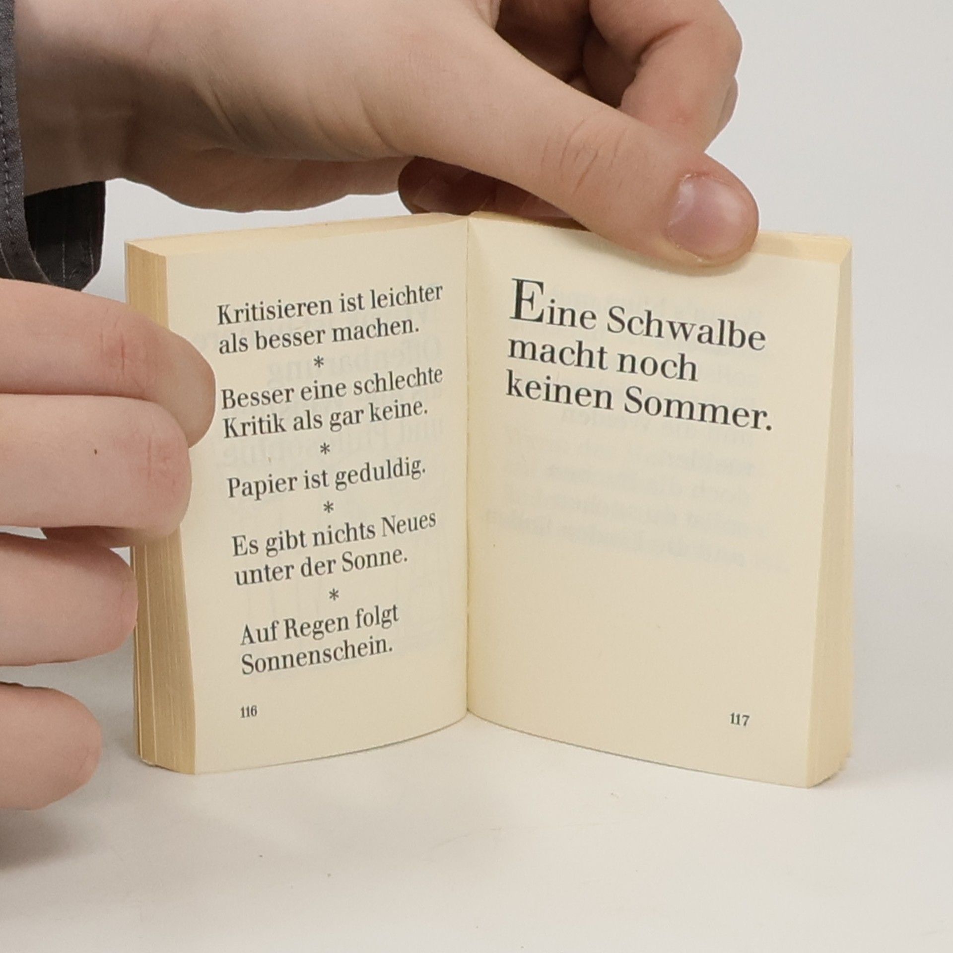 Christian Morgenstern Das grosse Diogenes-Lebenshilfe-Buch