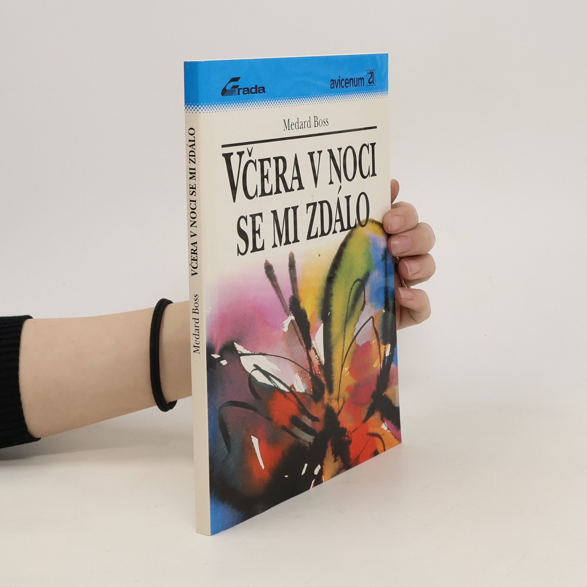 Medard Boss Včera v noci se mi zdálo