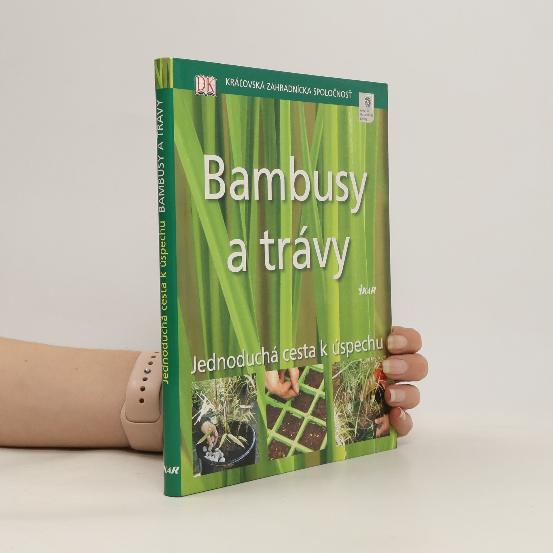 Jon Ardle Bambusy a trávy: Jednoduchá cesta k úspechu