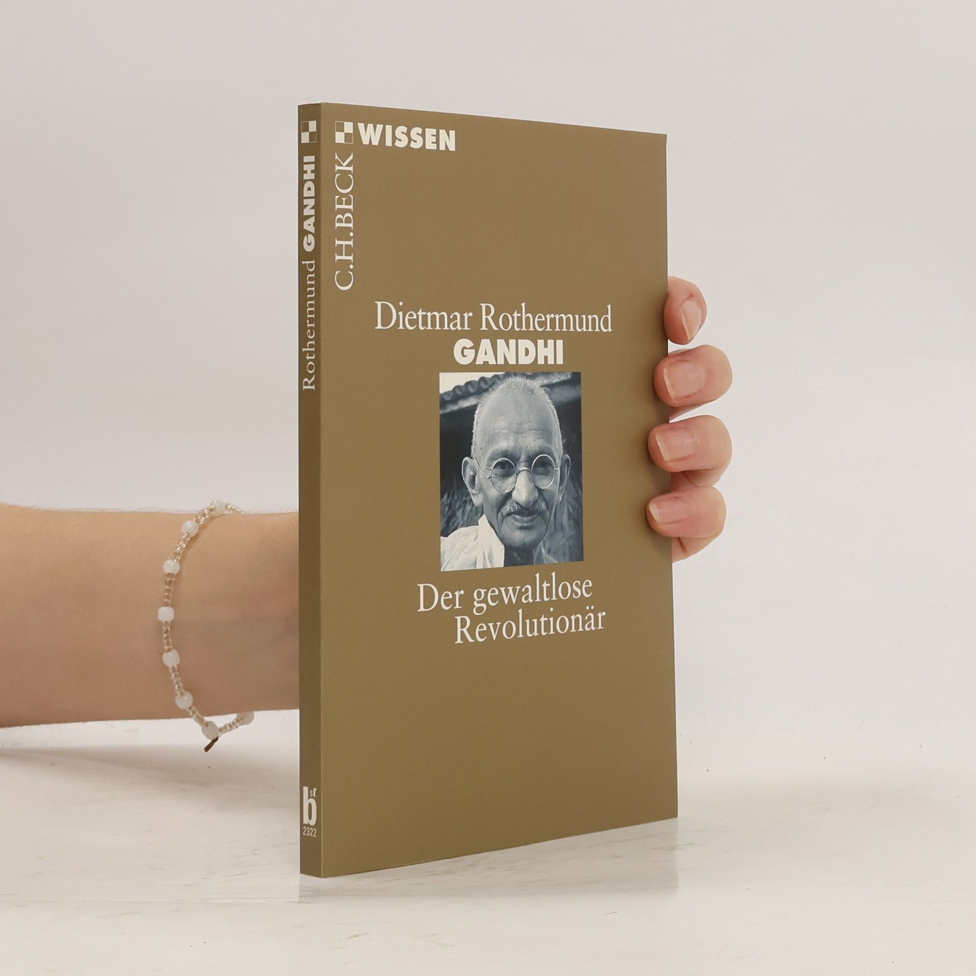 Dietmar Rothermund Gandhi
