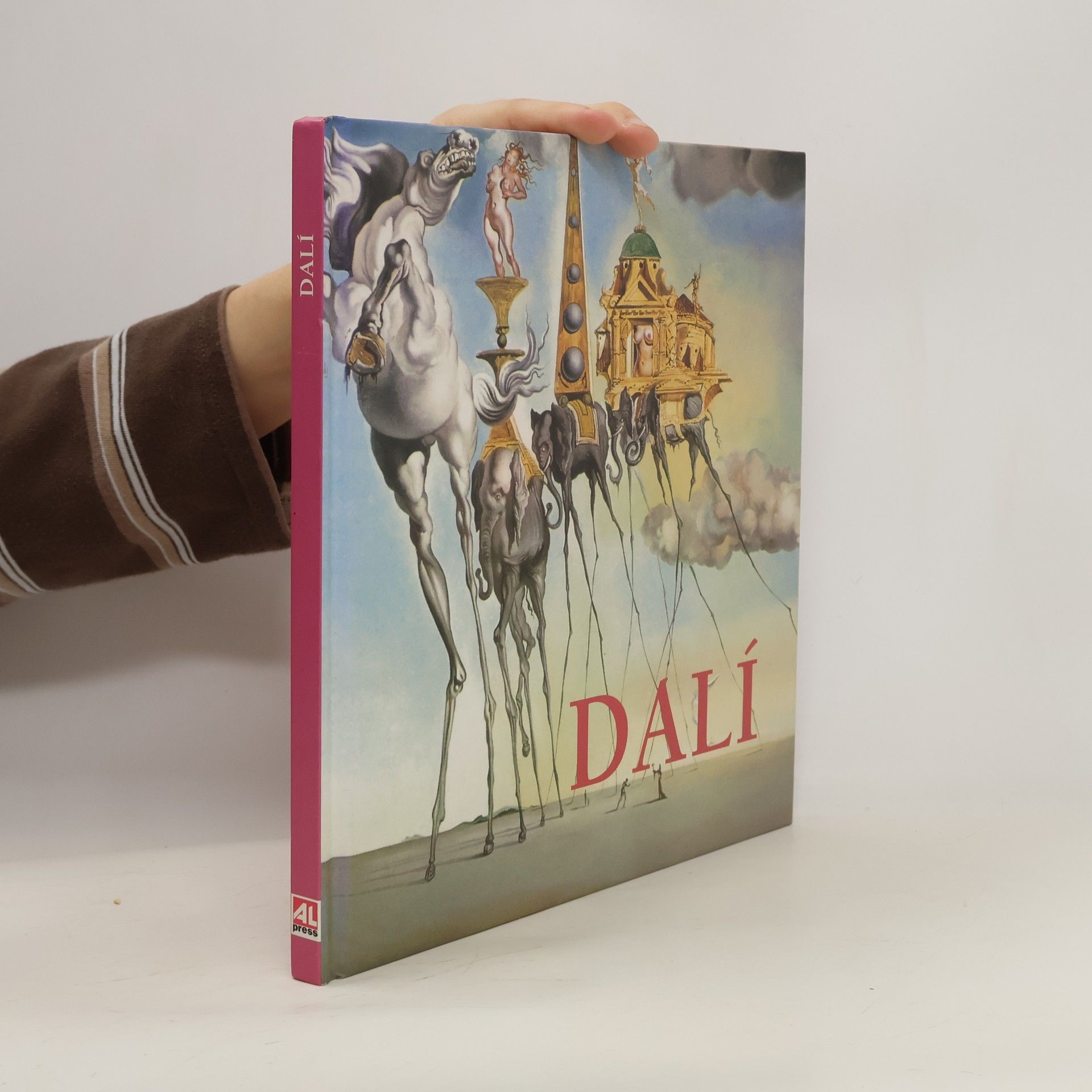 kolektiv Dalí Salvador