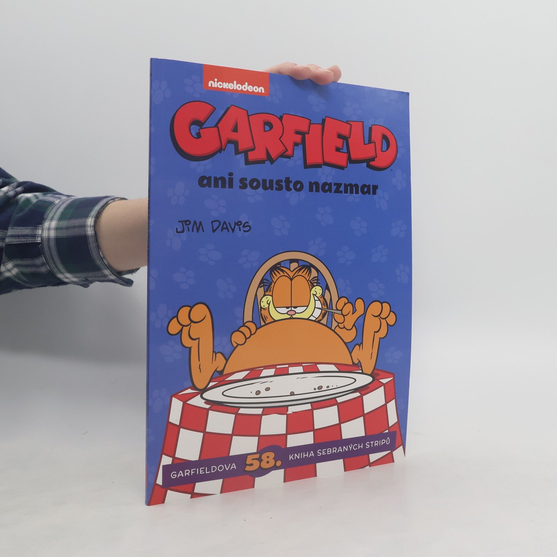 Jim Davis Garfield - ani sousto nazmar