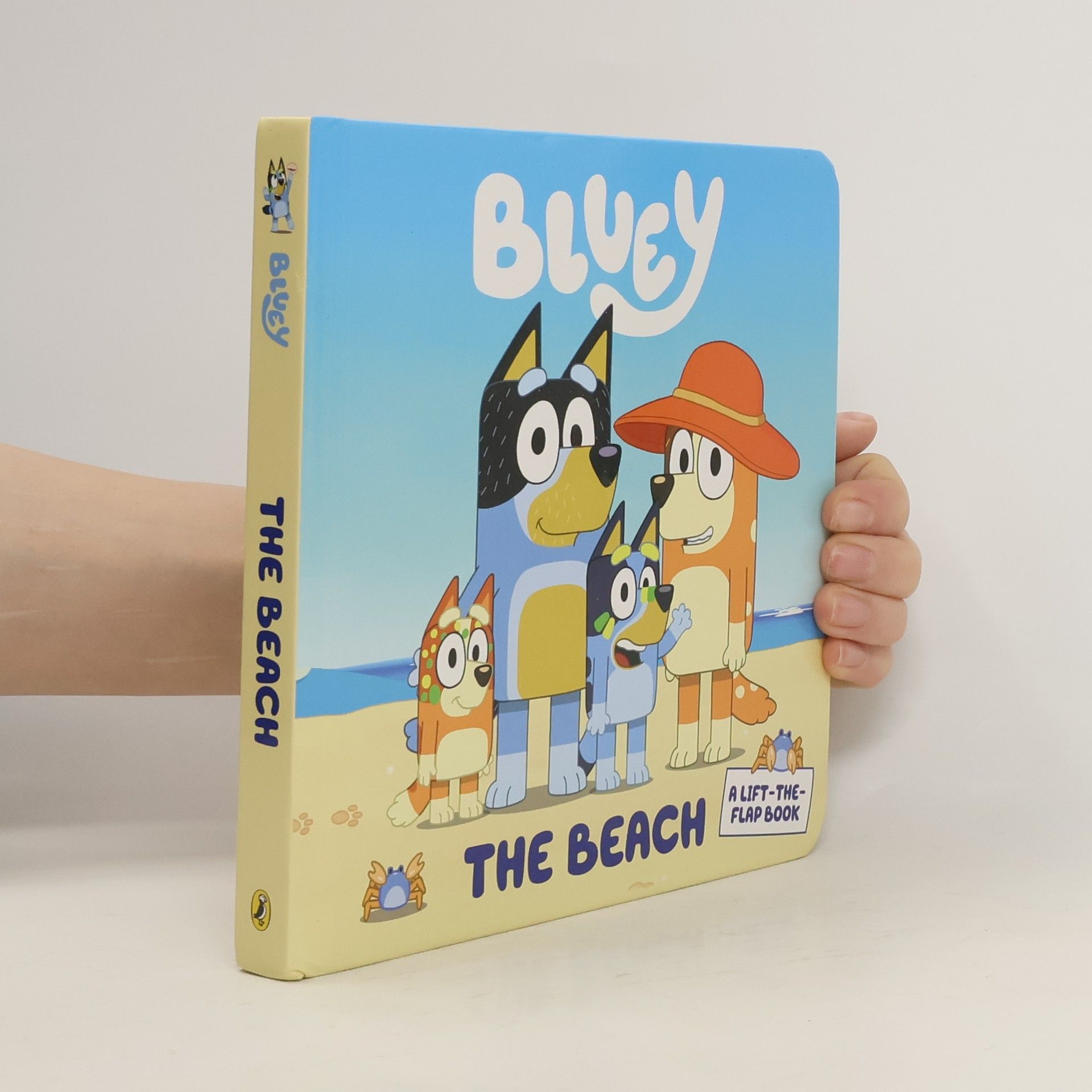 kolektiv Bluey. The Beach