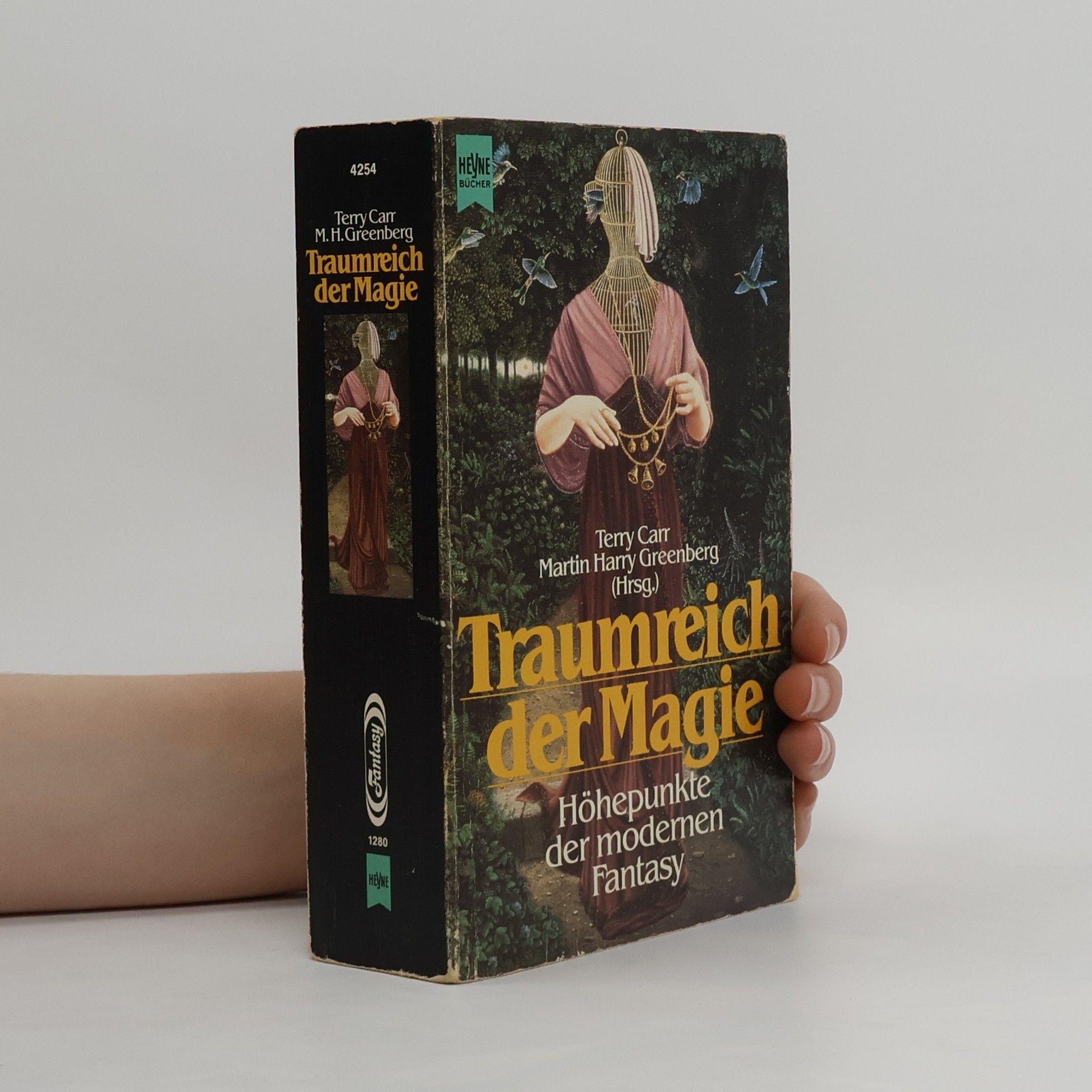 Terry Carr Traumreich der Magie