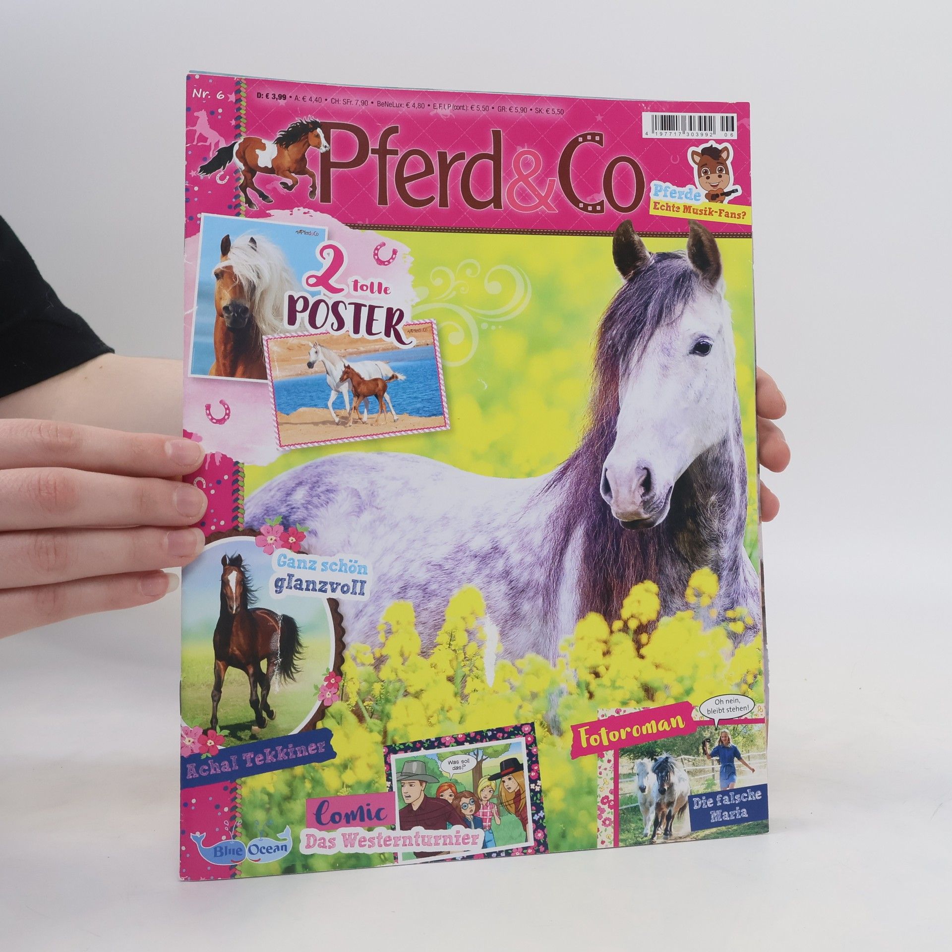 Auteurscollectief Pferde & Co 6