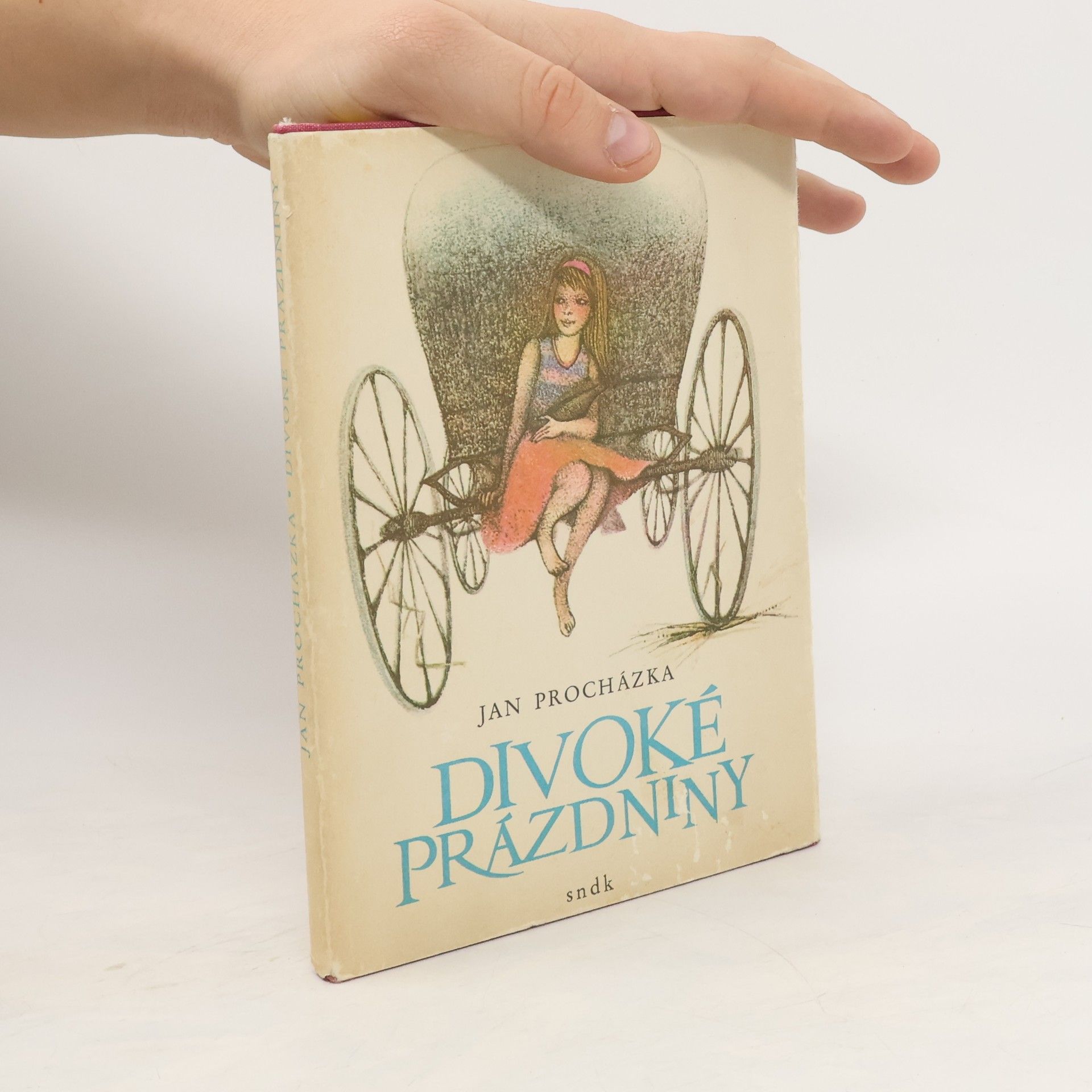 Jan Procházka Divoké prázdniny