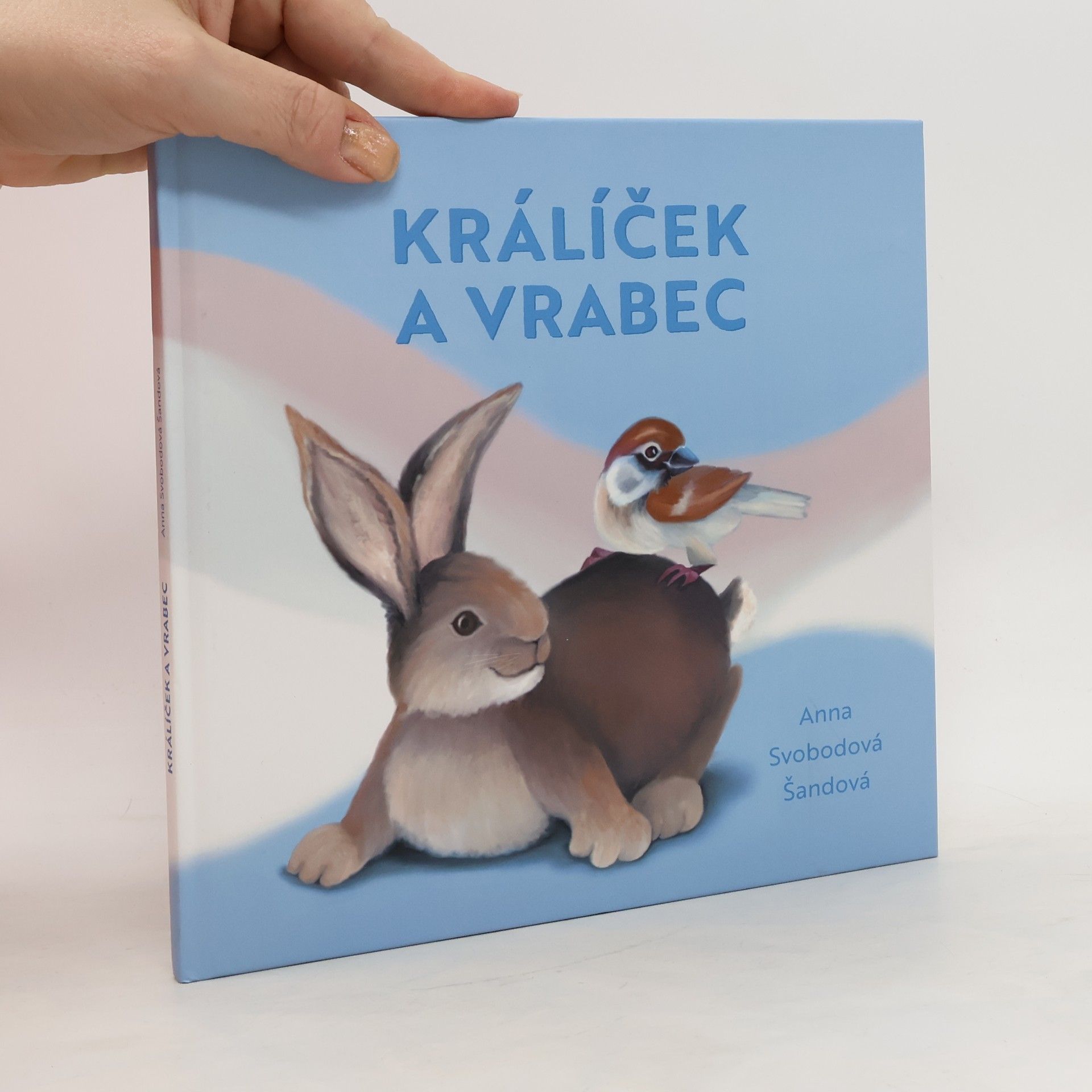 Anna Svobodová Šandová Králíček a vrabec