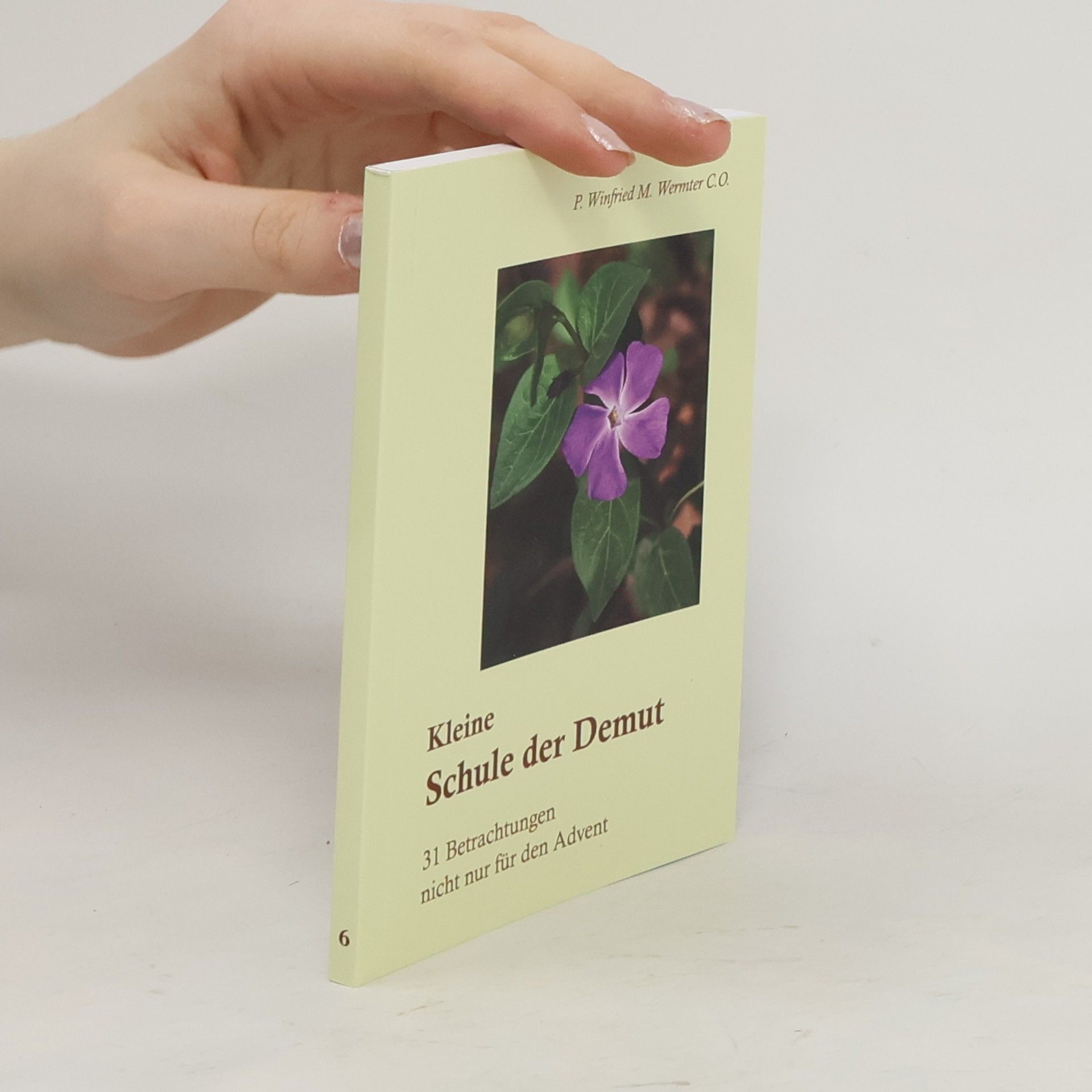 Winfried M. Wermter Kleine Schule der Demut