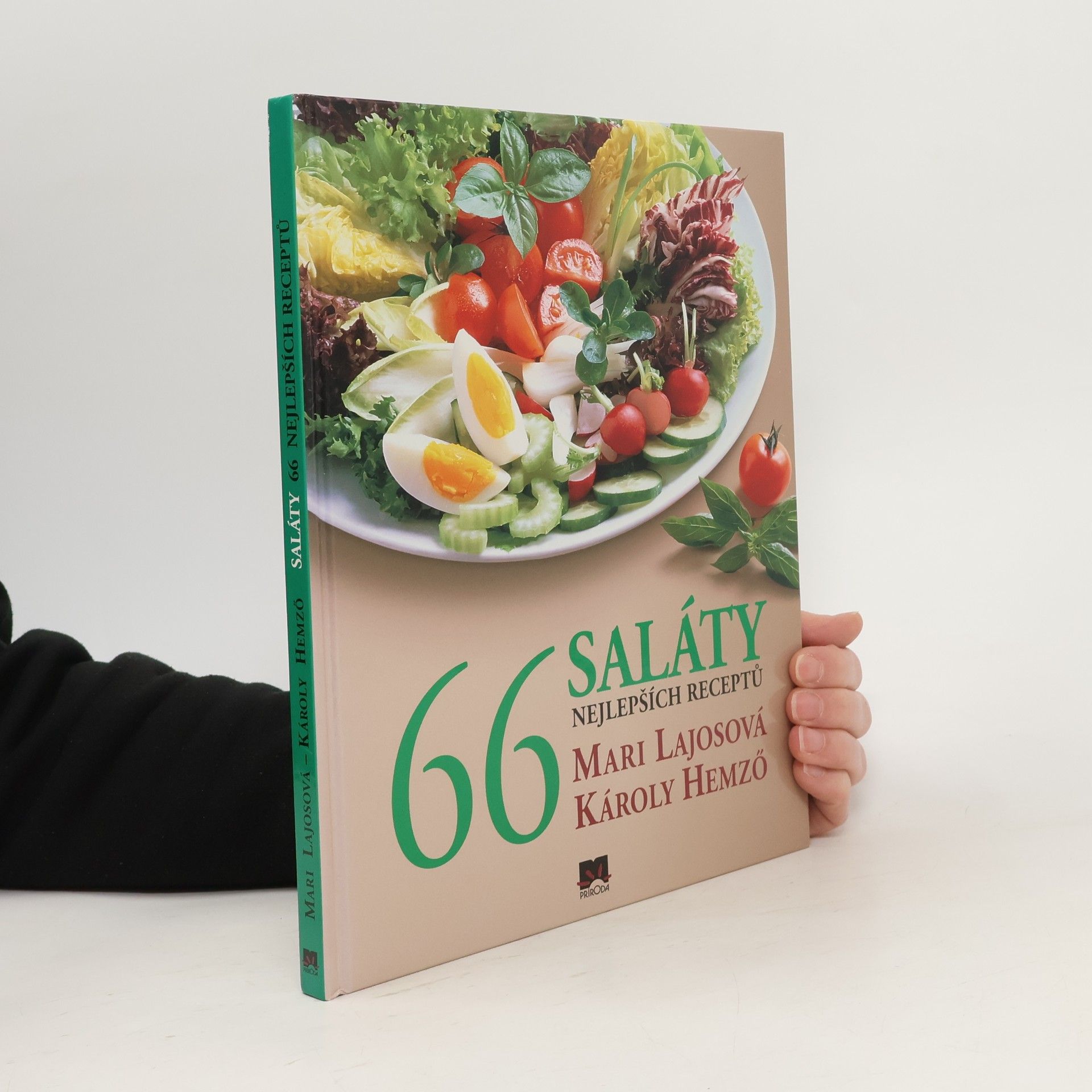 Mari Lajos Saláty - 66 nejlepších receptů