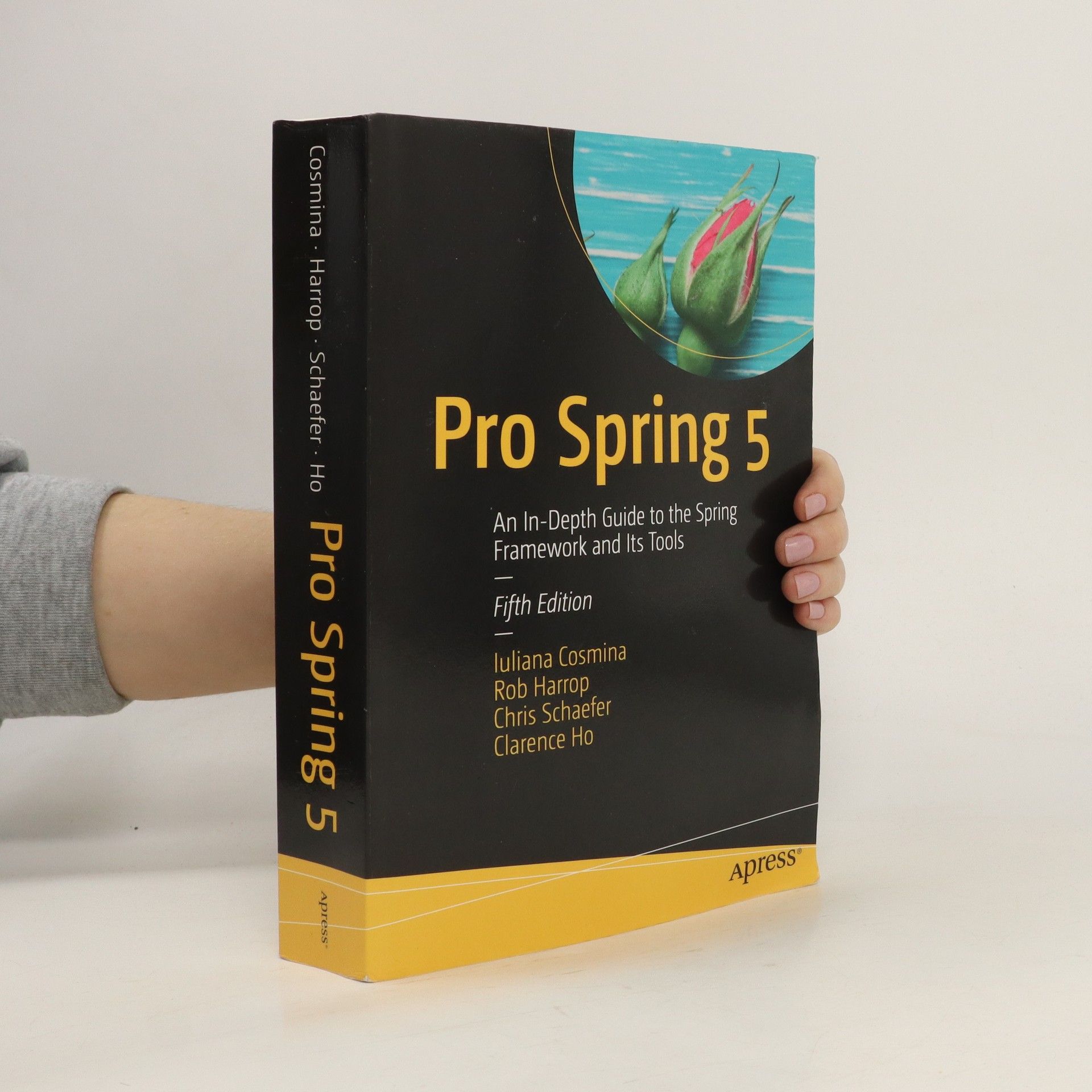 Iuliana Cosmina Pro Spring 5