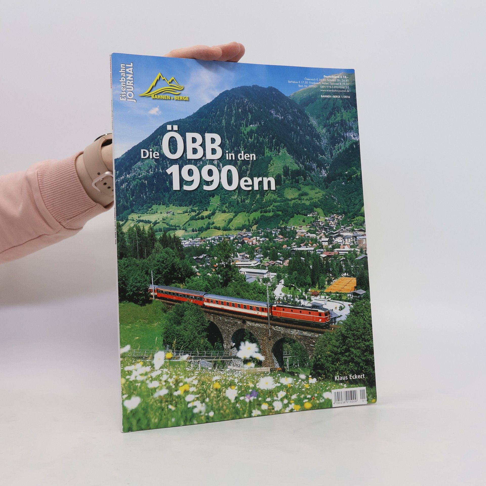 Ilona Eckert Die ÖBB in den 1990ern