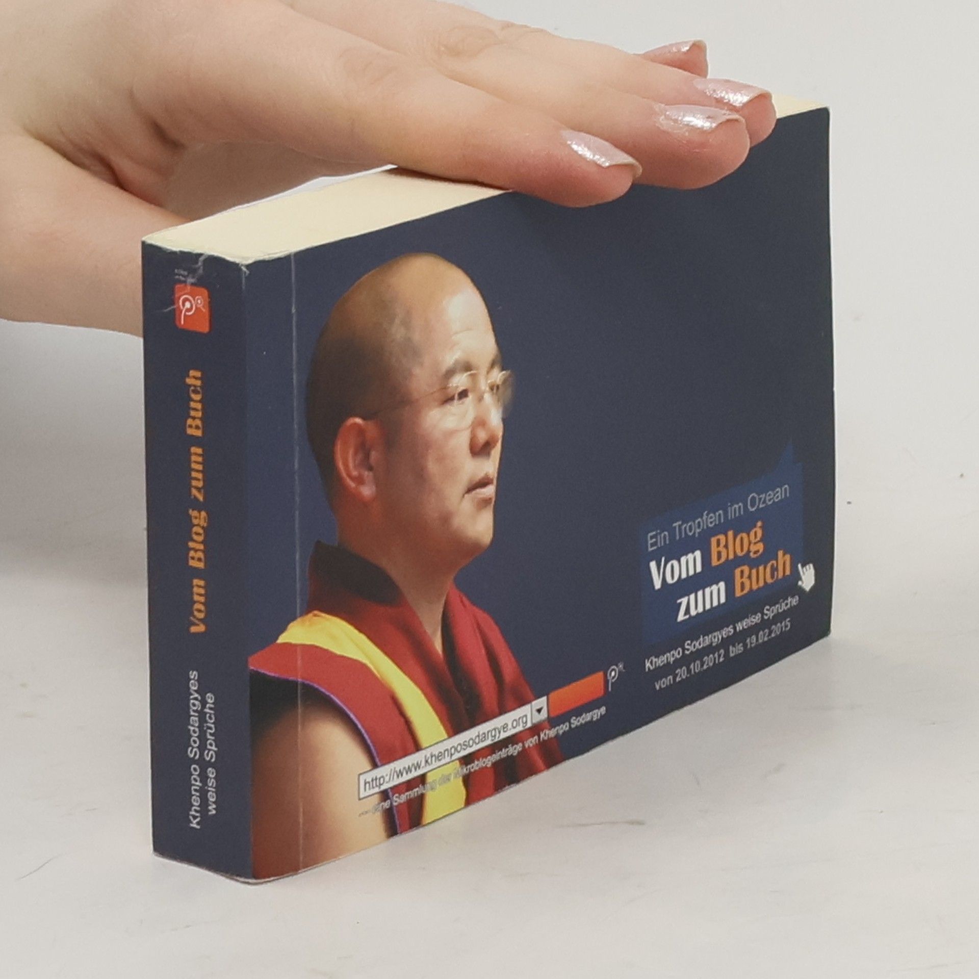 Kanbu Suodaji Vom Blog zum Buch