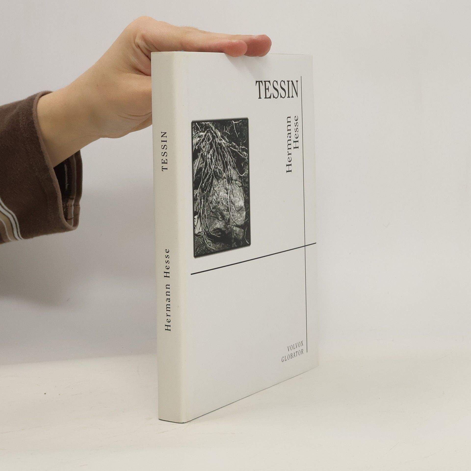 Hermann Hesse Tessin